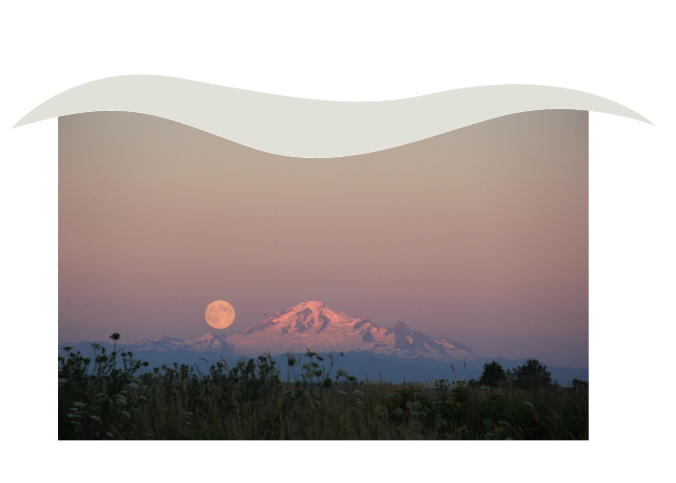 Mount Rainier with snow-capped peak, seen at dusk with a full moon rising behind it, foreground includes wildflowers and trees.