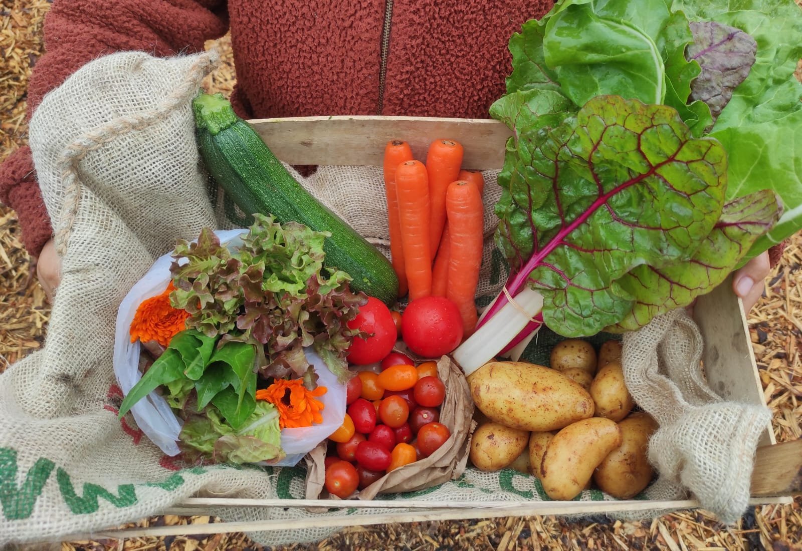 Small organic veg box