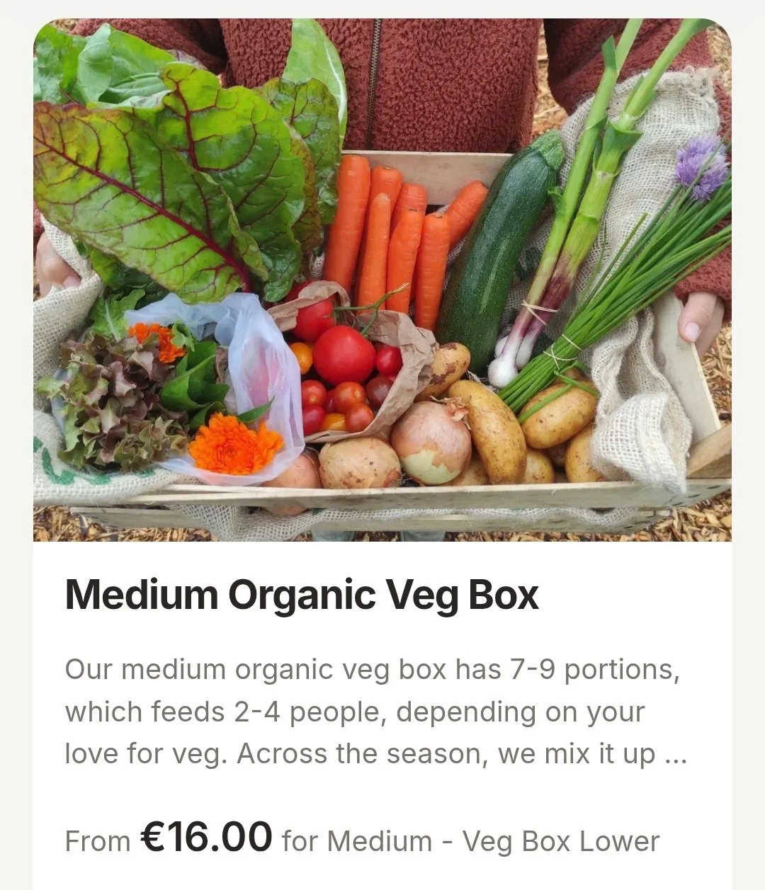 Medium Organic Veg Box
