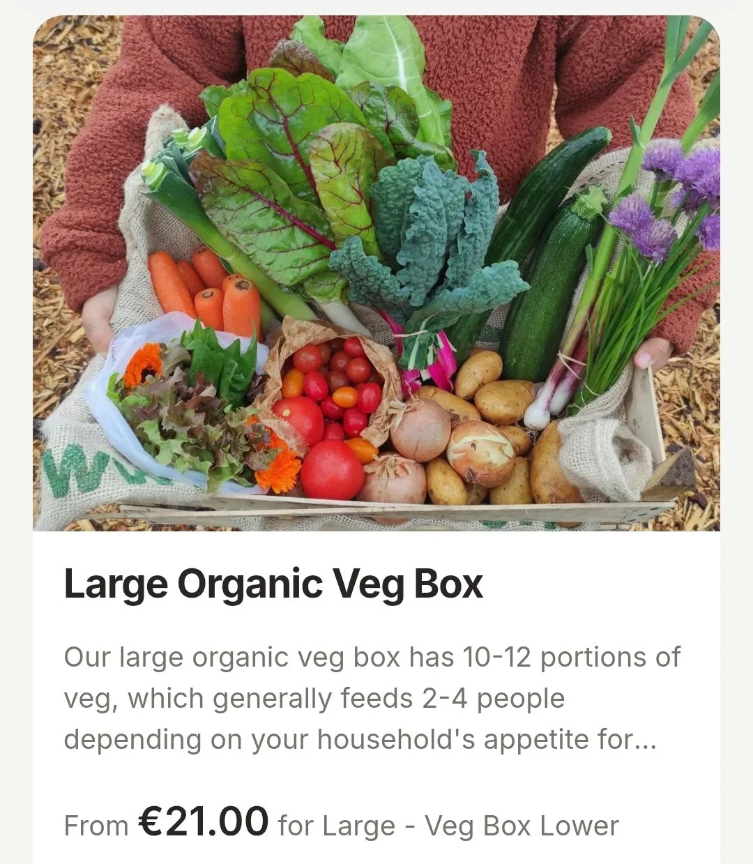 Large Organic Veg Box