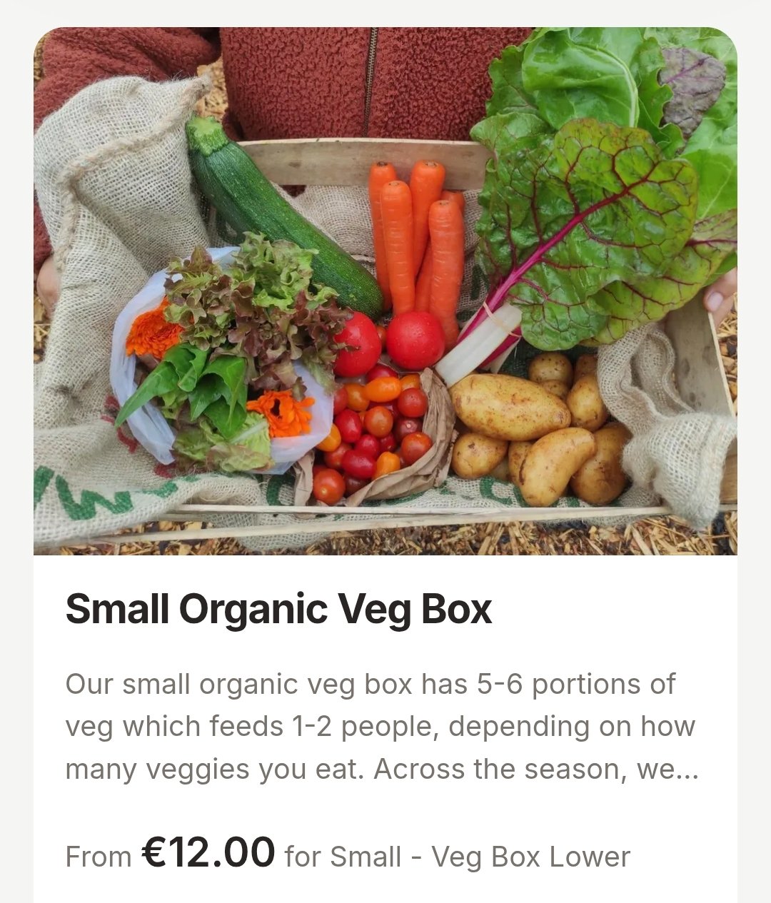 Small Organic Veg Box
