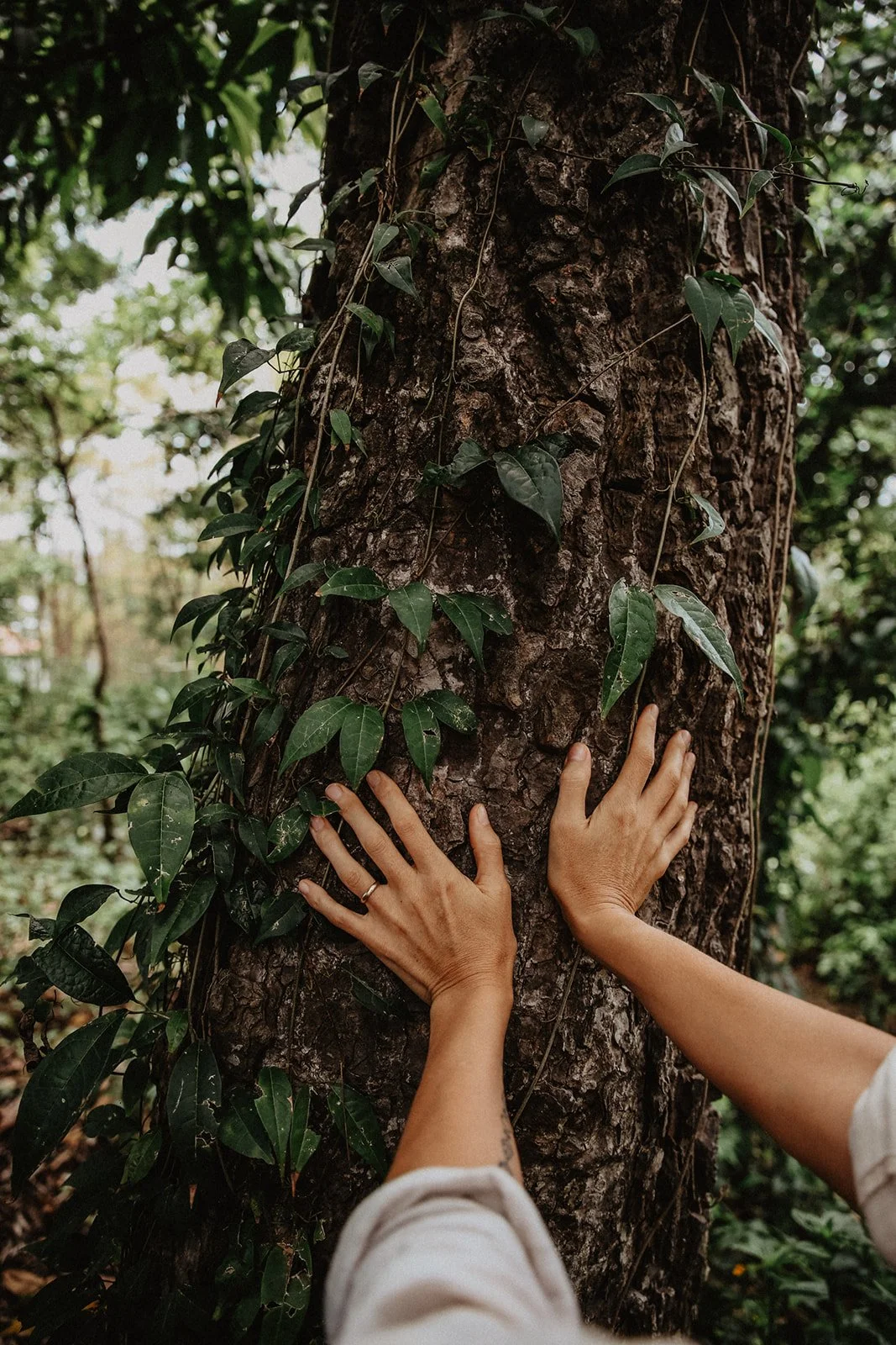 What is Creative Earth Wellbeing?