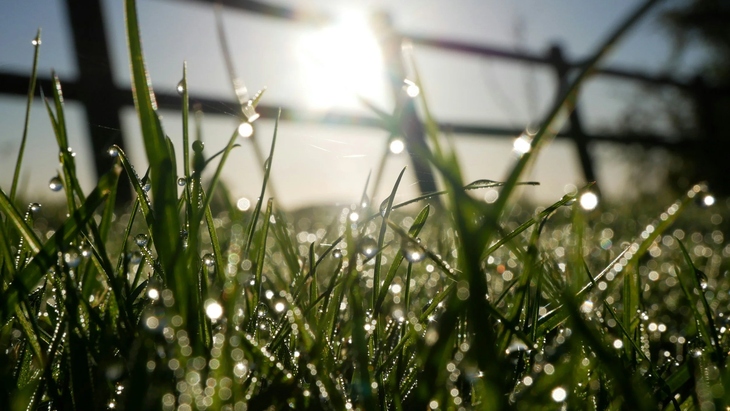 Flow, Don’t Force: The Beauty of Letting Life Unfold