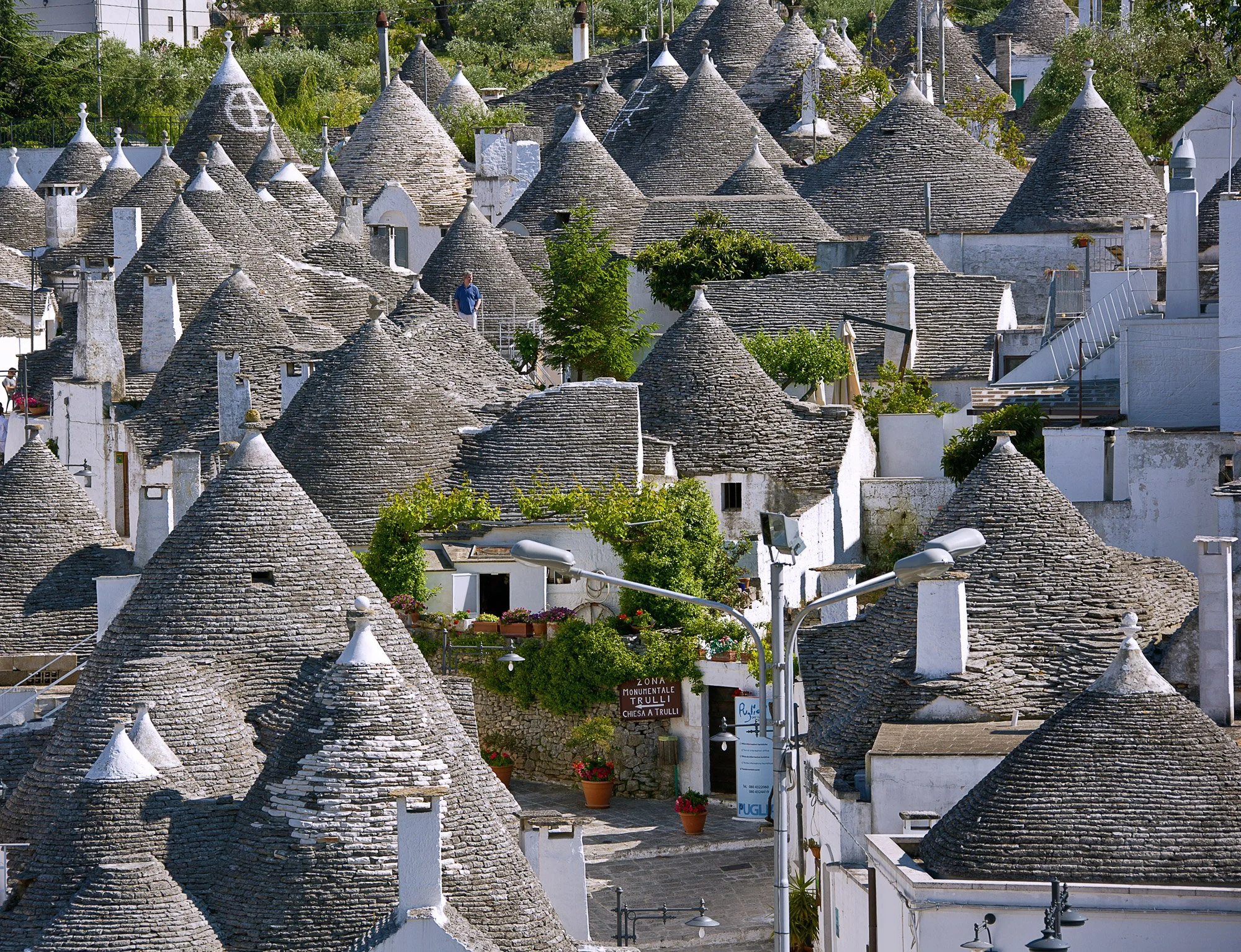 ALBEROBELLO.jpg