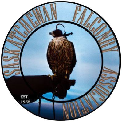 Saskatchewan Falconry Association