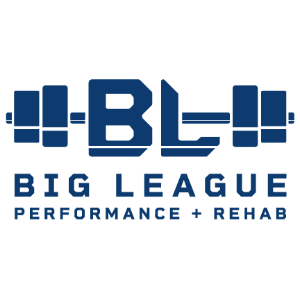 BigLeague_navy.png