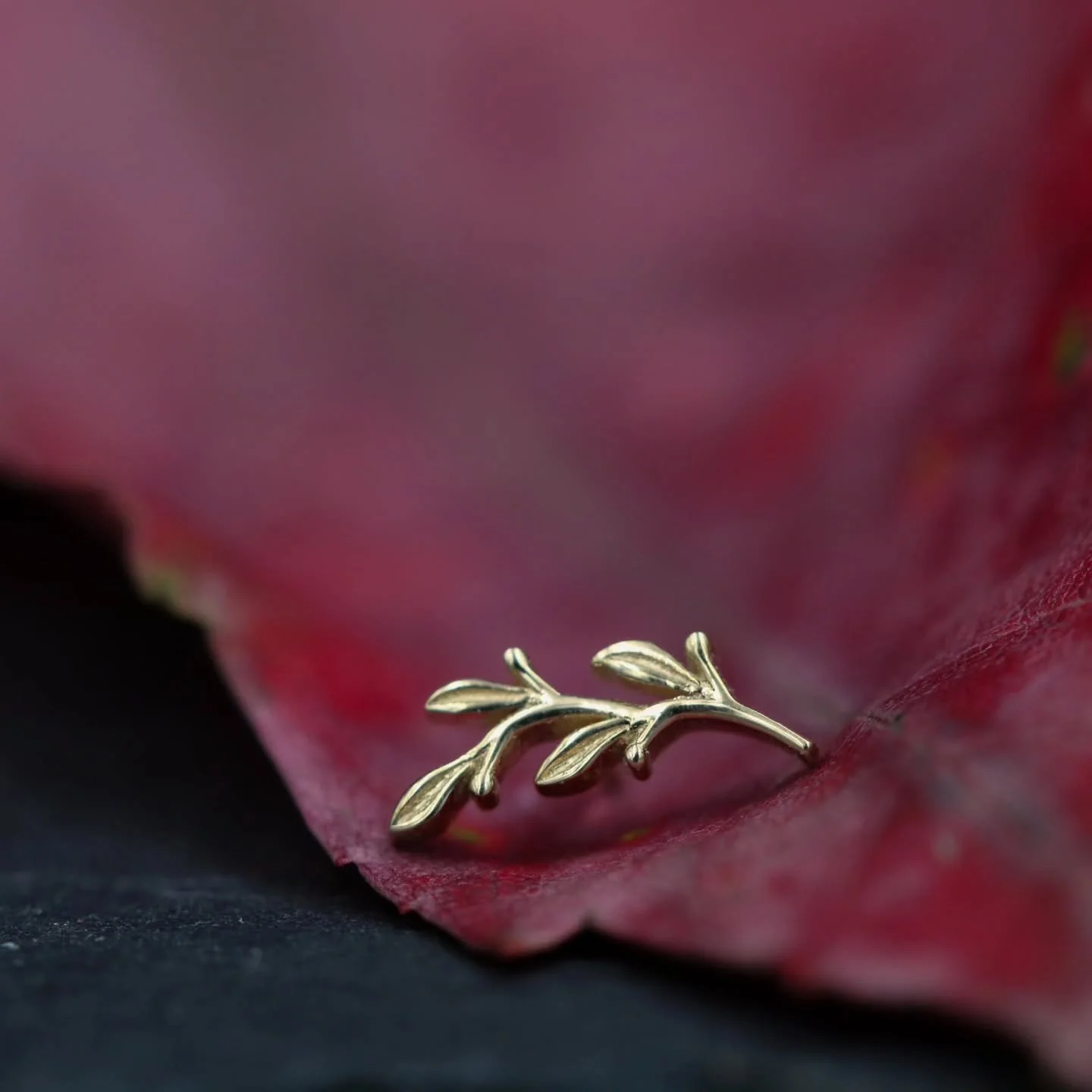 We are thrilled to showcase a new supplier: BVLA! Body Vision Los Angeles is one of the best known, most renowned names in high quality gold jewelry.
I've only posted a few of the pieces we have available, so you'll have to come see what else is new