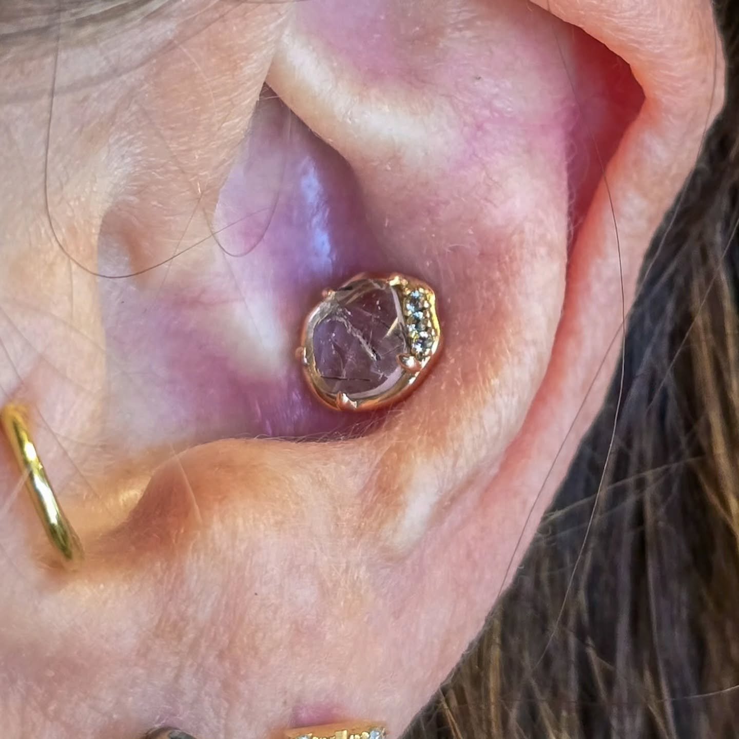 I had so much fun with these three lovely folks! Everyone got upgrades to existing, well healed piercings. 

The conch is a tourmalated quartz Vision from @buddhajewelryofficial, and is a stunner. 

The rook has the Linger charm from @emberbodyjewelr