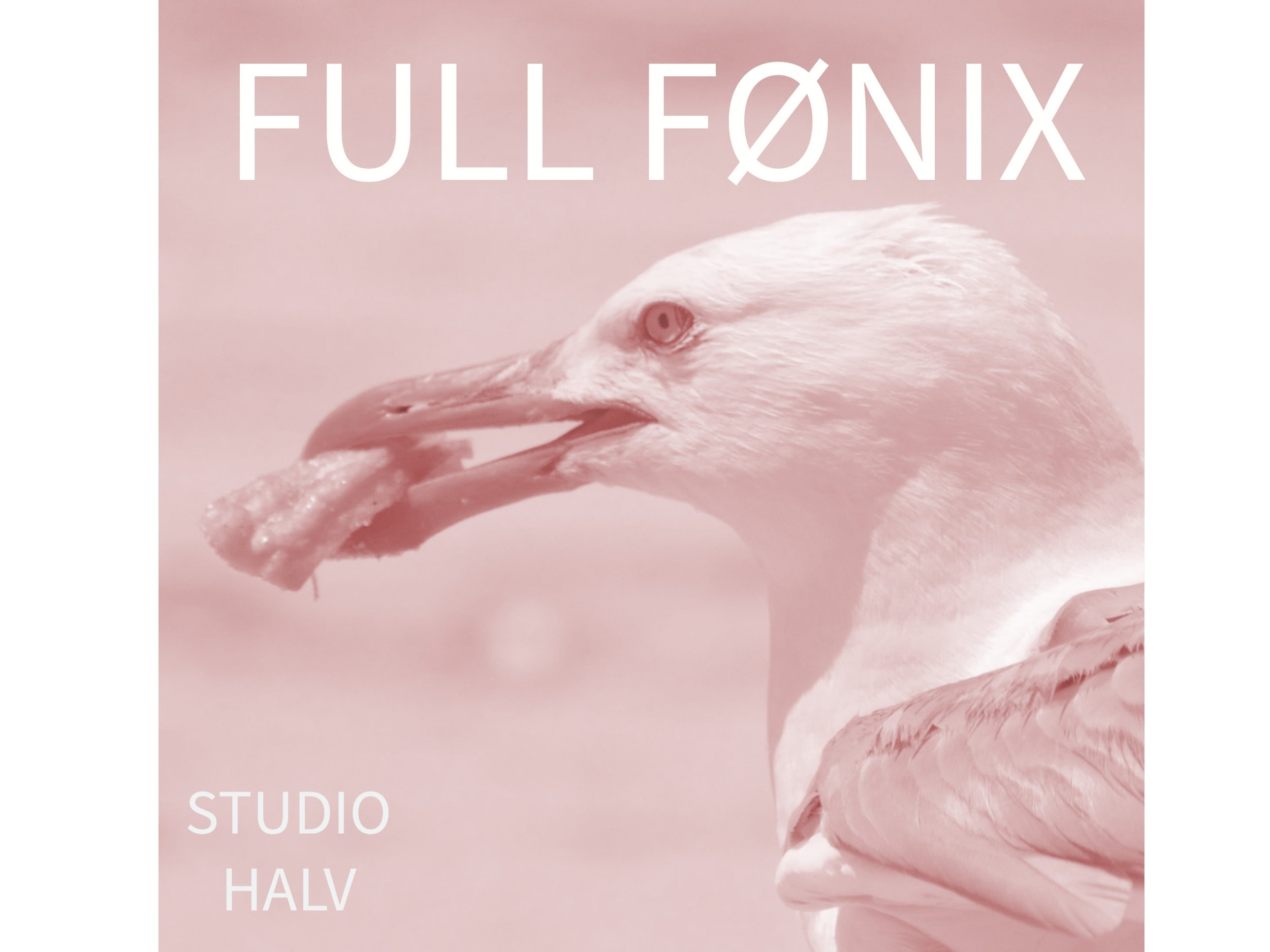 5.6-7.6.2026 Full Fønix