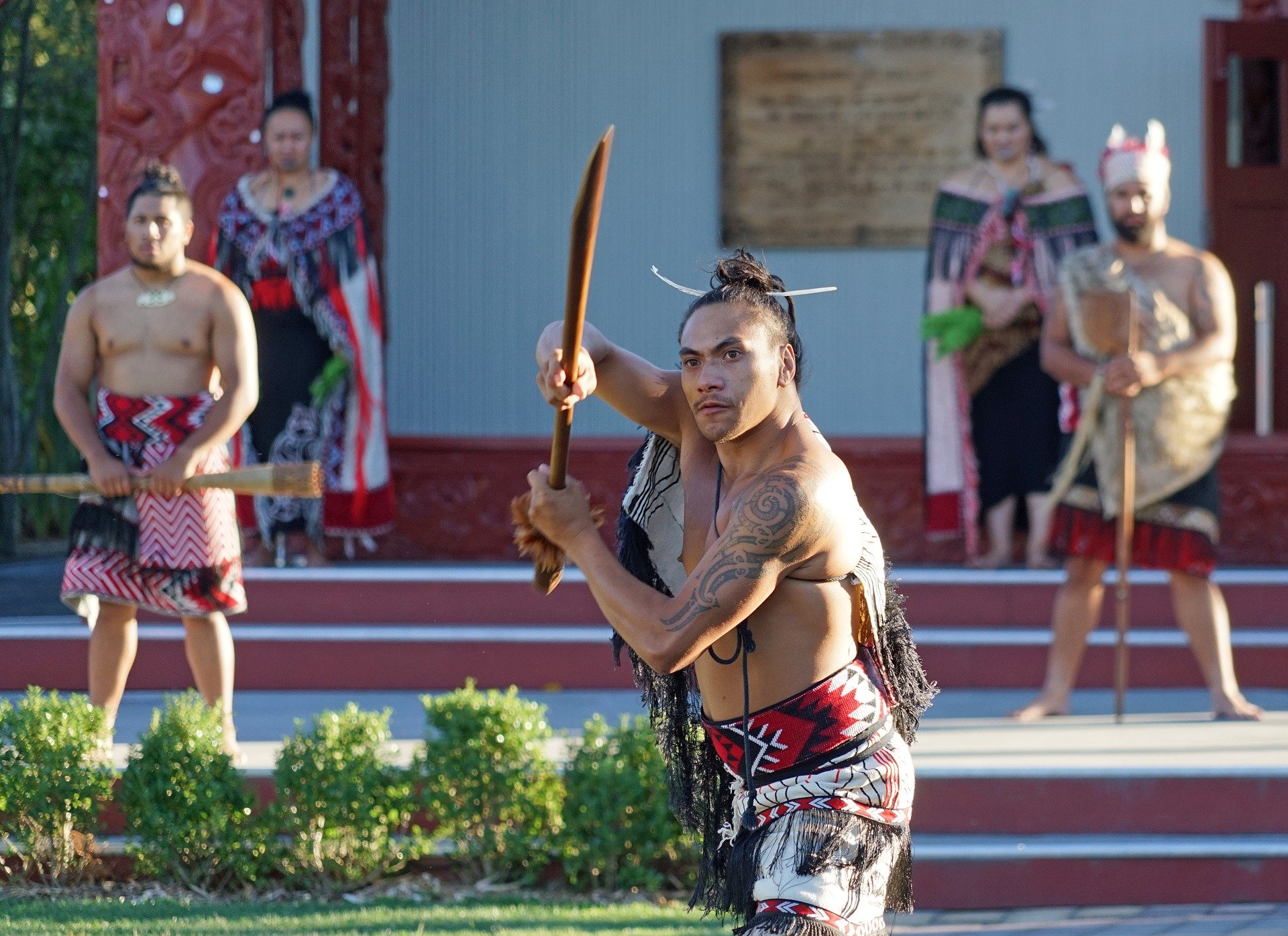 Maori Warrier, New Zealand