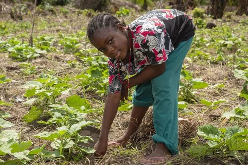 Our Agricultural Micro-Business