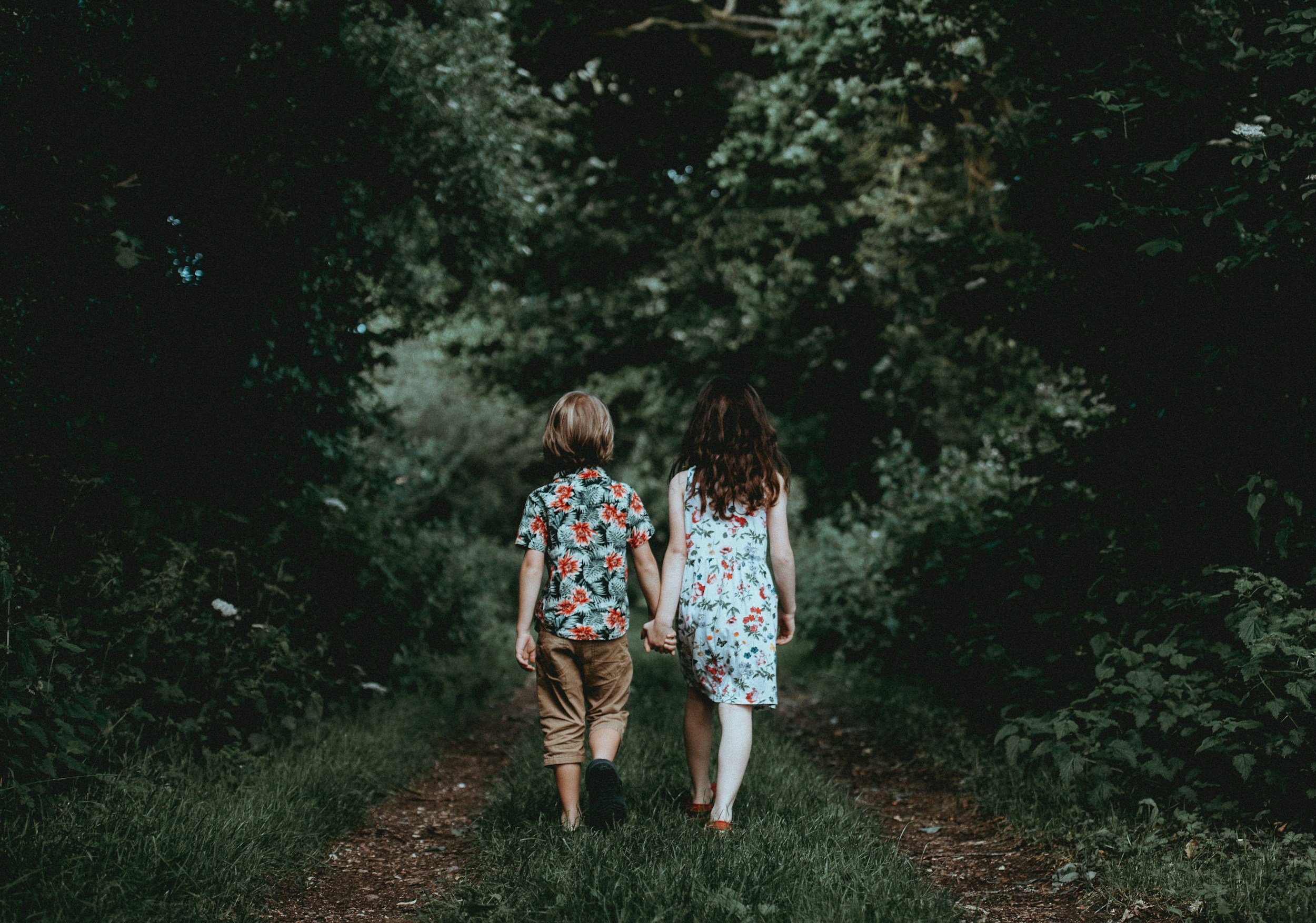 unsplash-image-UitqRQD4Z7g.jpg
