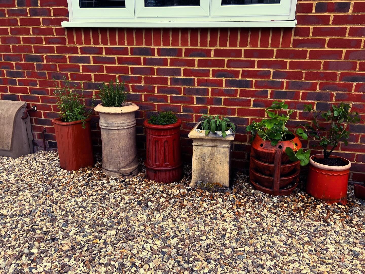Today&rsquo;s  photo sees the credit going to my mother in law 👵! 

Each pot has a story to go with it and finally we got round to potting some herbs 🪴 strawberries 🍓 and a rose 🥀 in them credit to her green fingers. 

All I have to do is water t