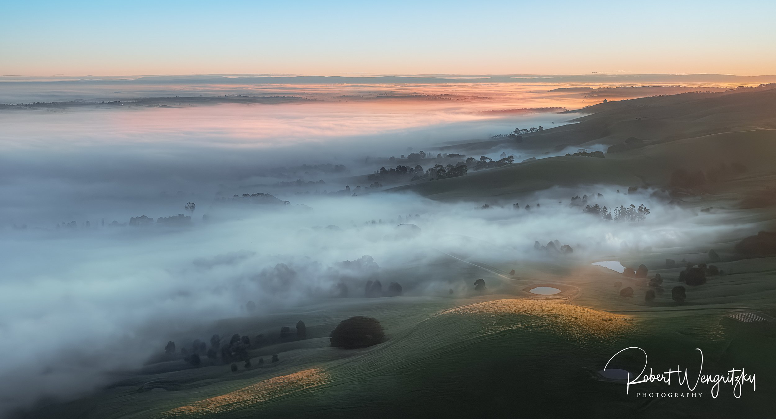 misty-glenn-forbes.jpg