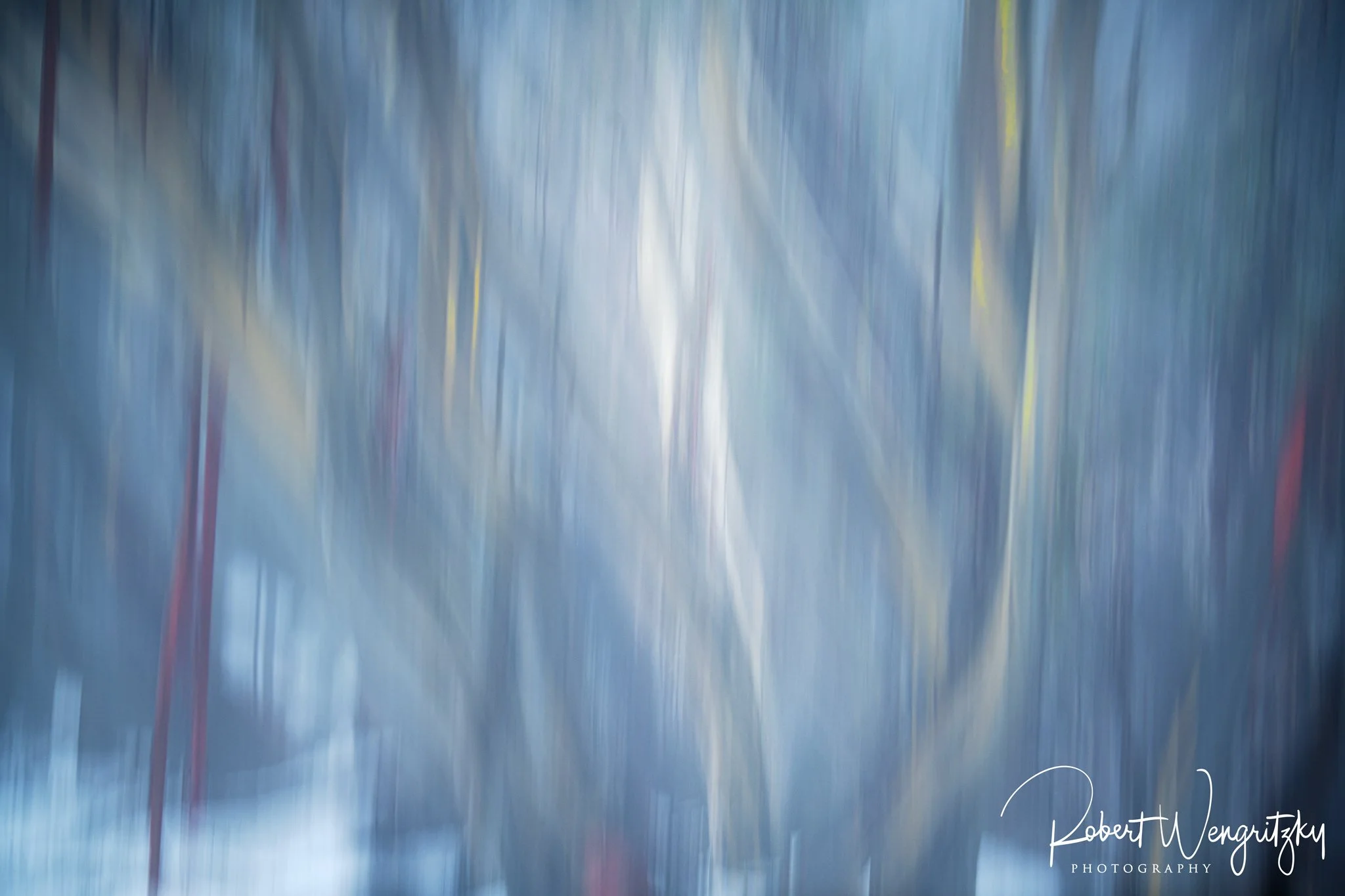 snowgums-in-motion.jpg