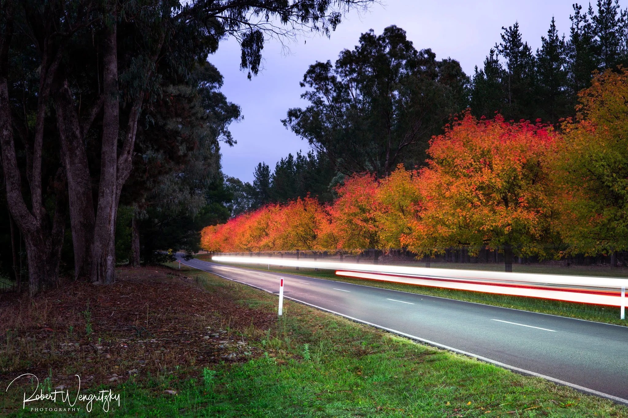 car-trails-autumn.jpg