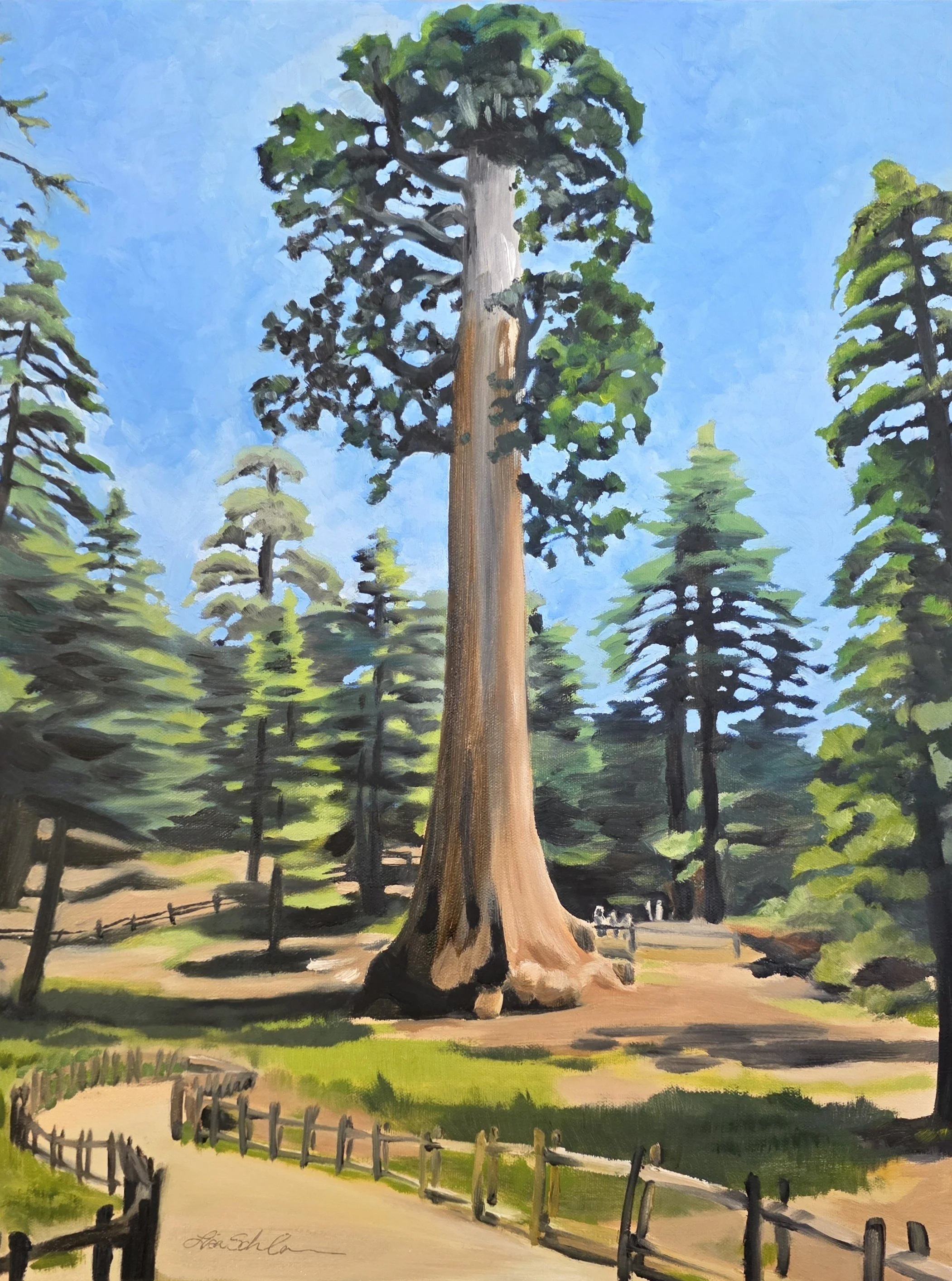 Giant Sequoia, 18 x 24 inch, oil on canvas