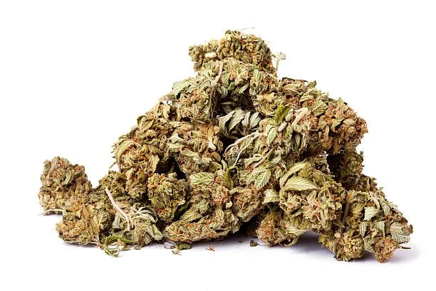 Close-up of dried cannabis buds on a white background.