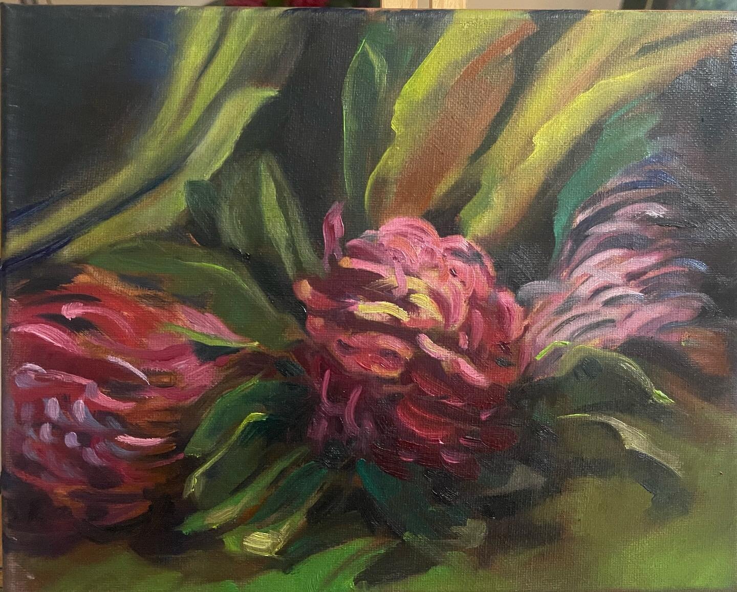 How do you start an oil painting?  Let me show you .  #cherylwillcoxart#oilpainting #pickout#waratah #artistcentralcoastnsw #nativeflowers#petitepainting