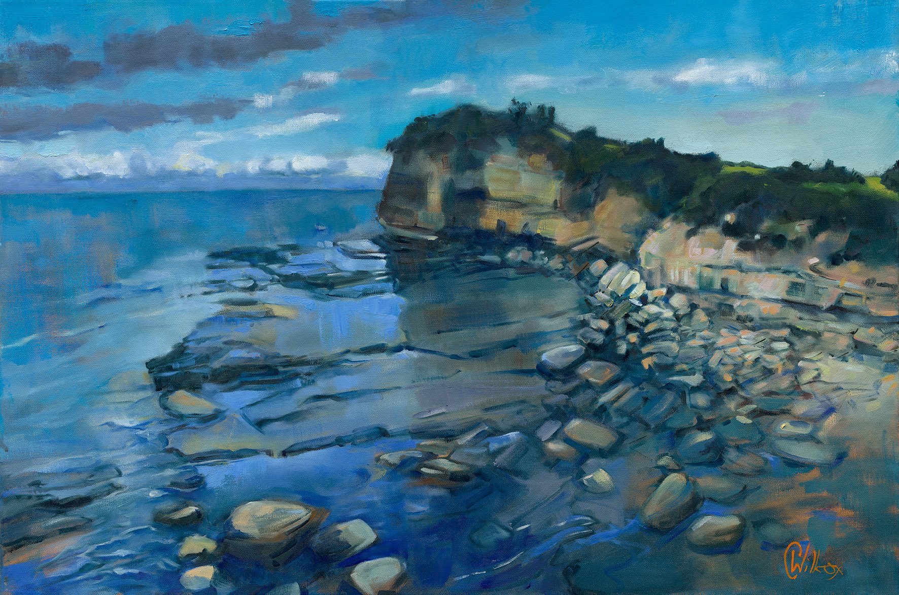 Terrigal Skillion.jpg