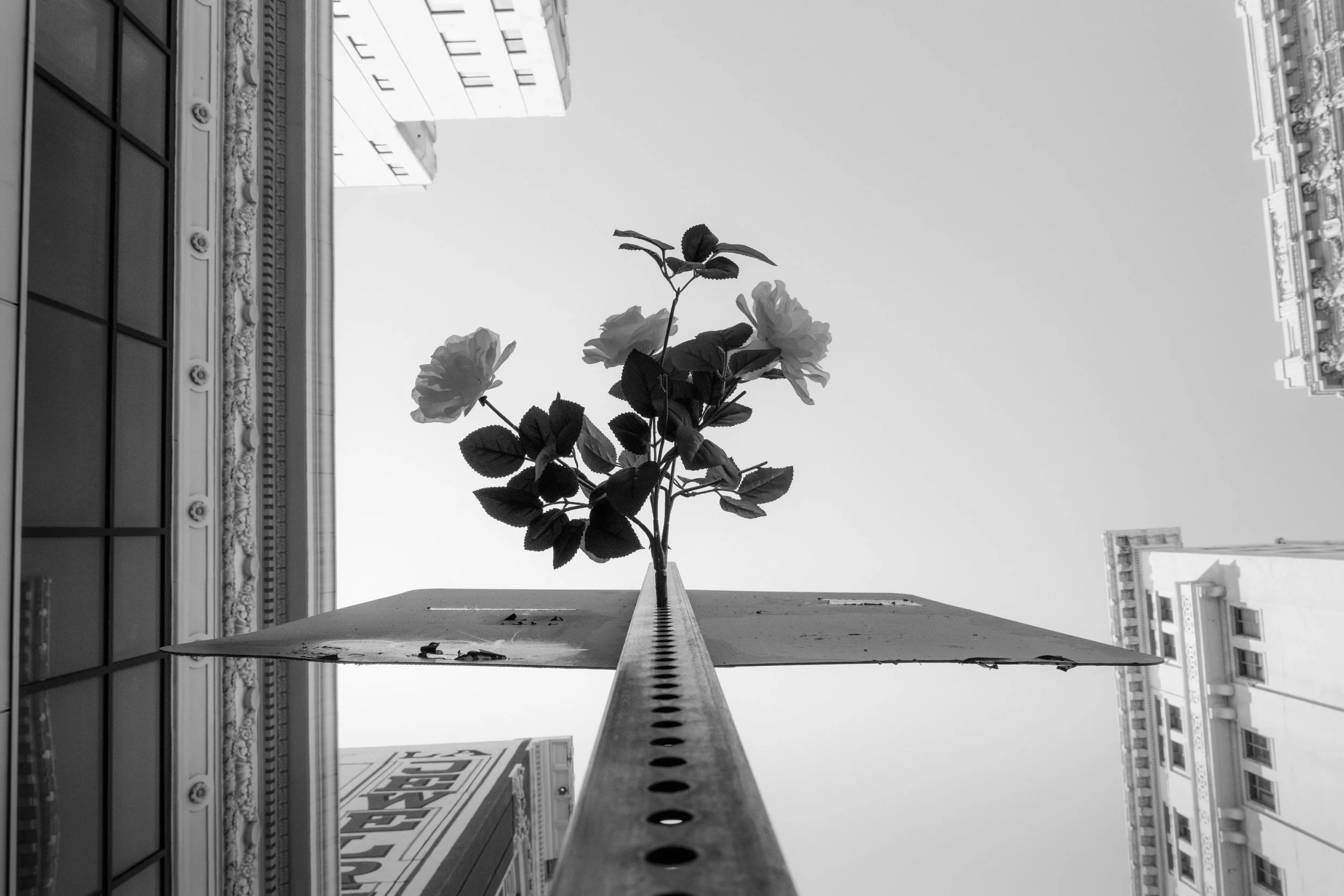 Street test-30.jpg