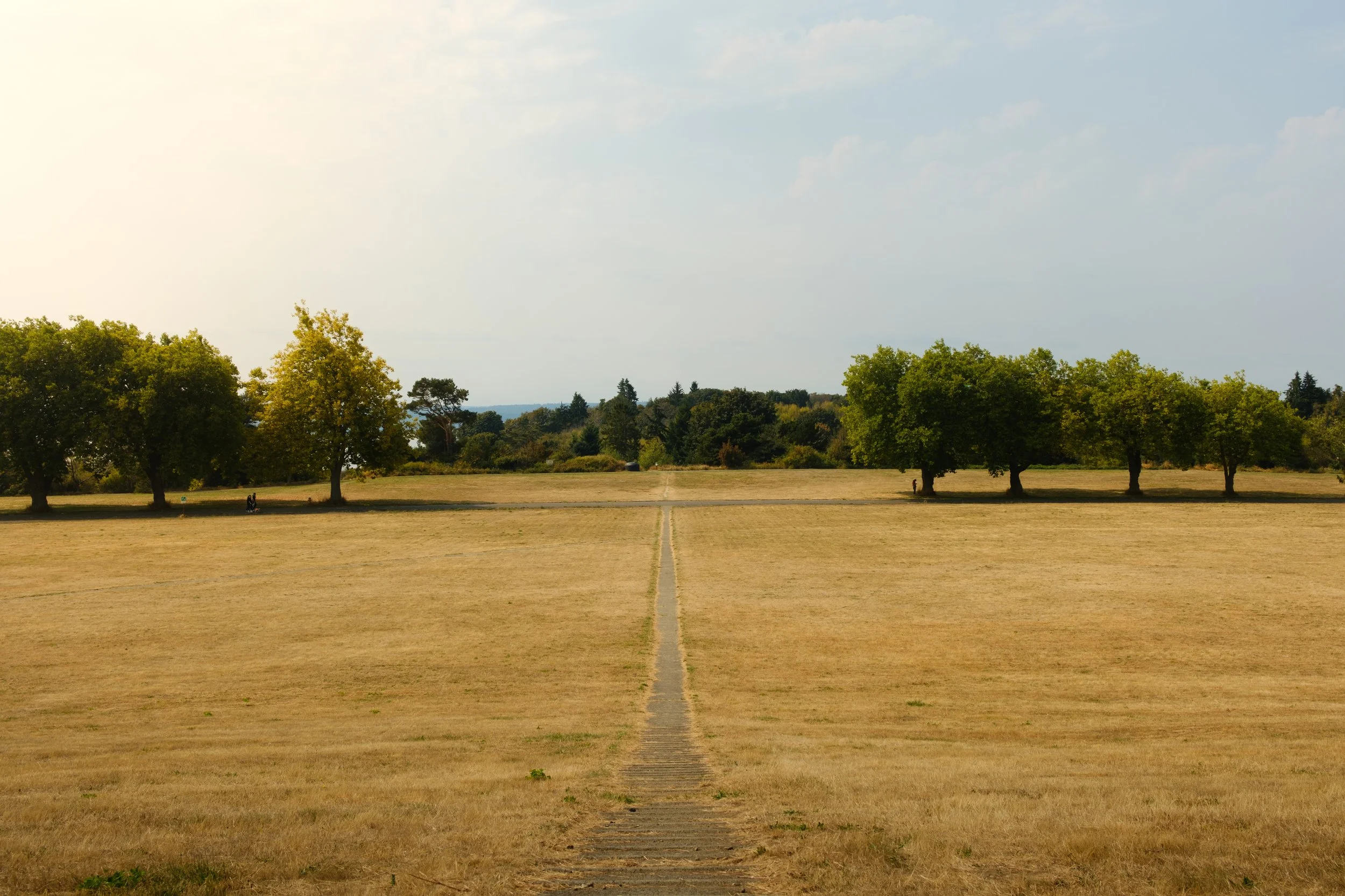 DSCF8348.jpg