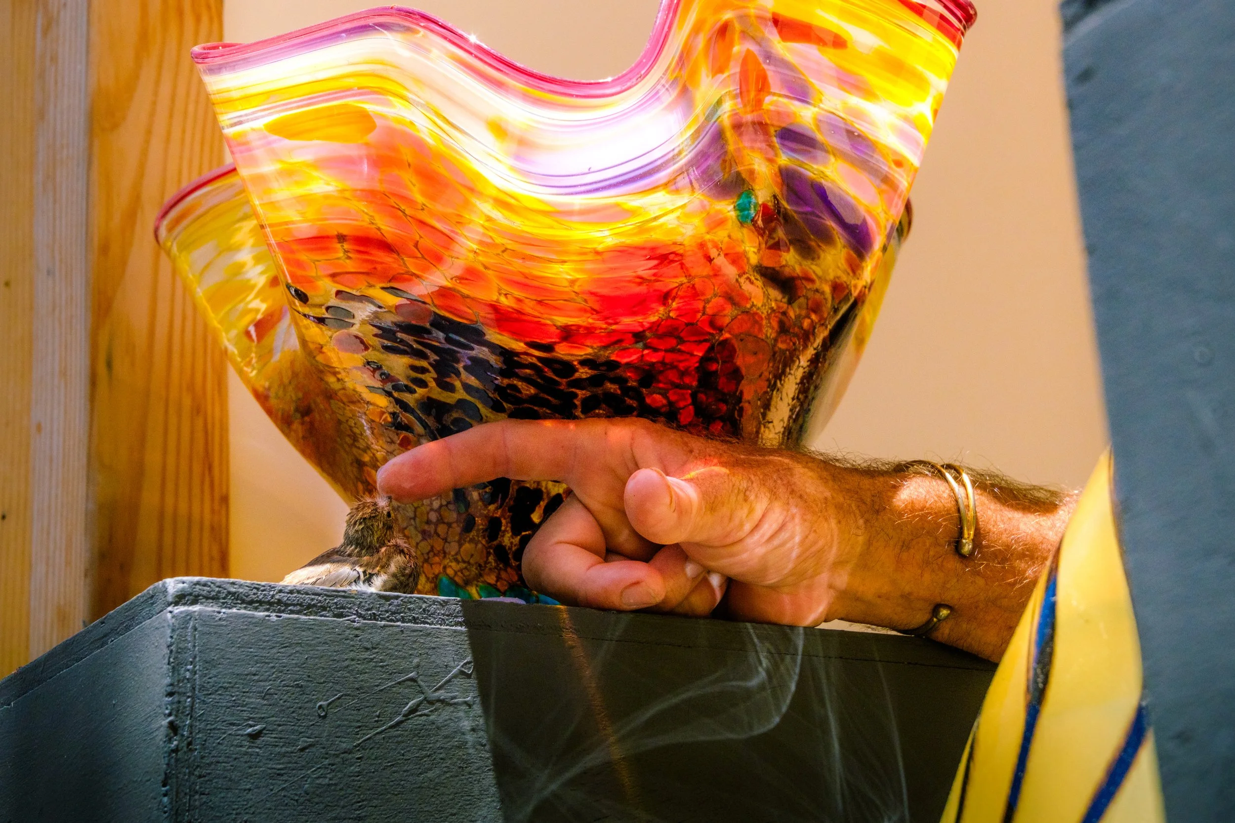 color street-33.jpg