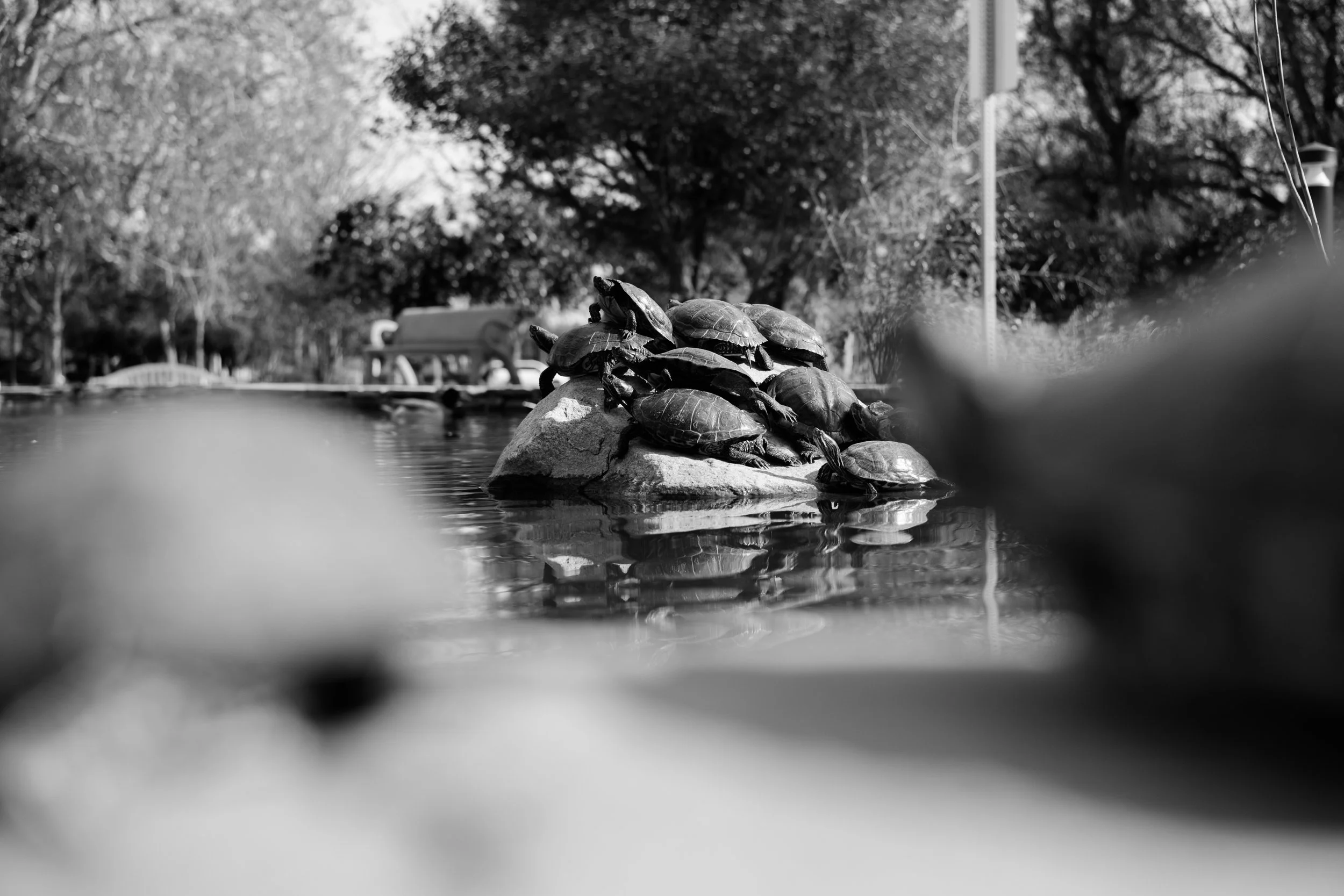 DSCF6880.jpg