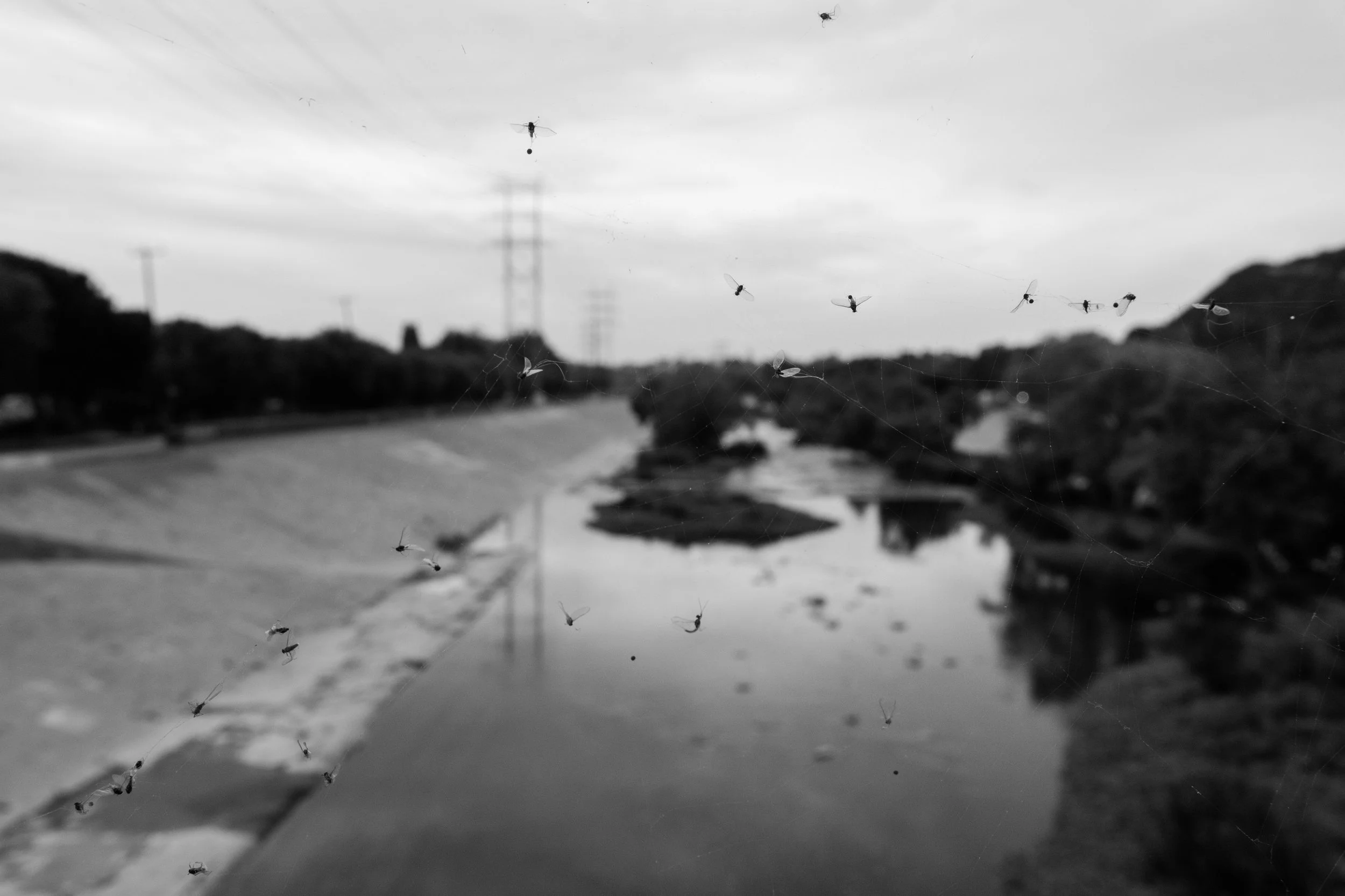 DSCF1539.jpg