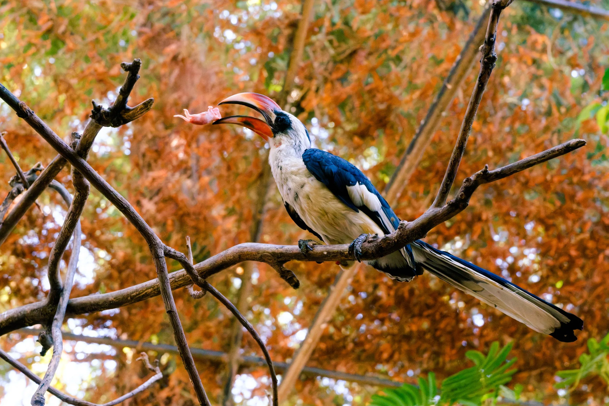 DSCF6900.jpg