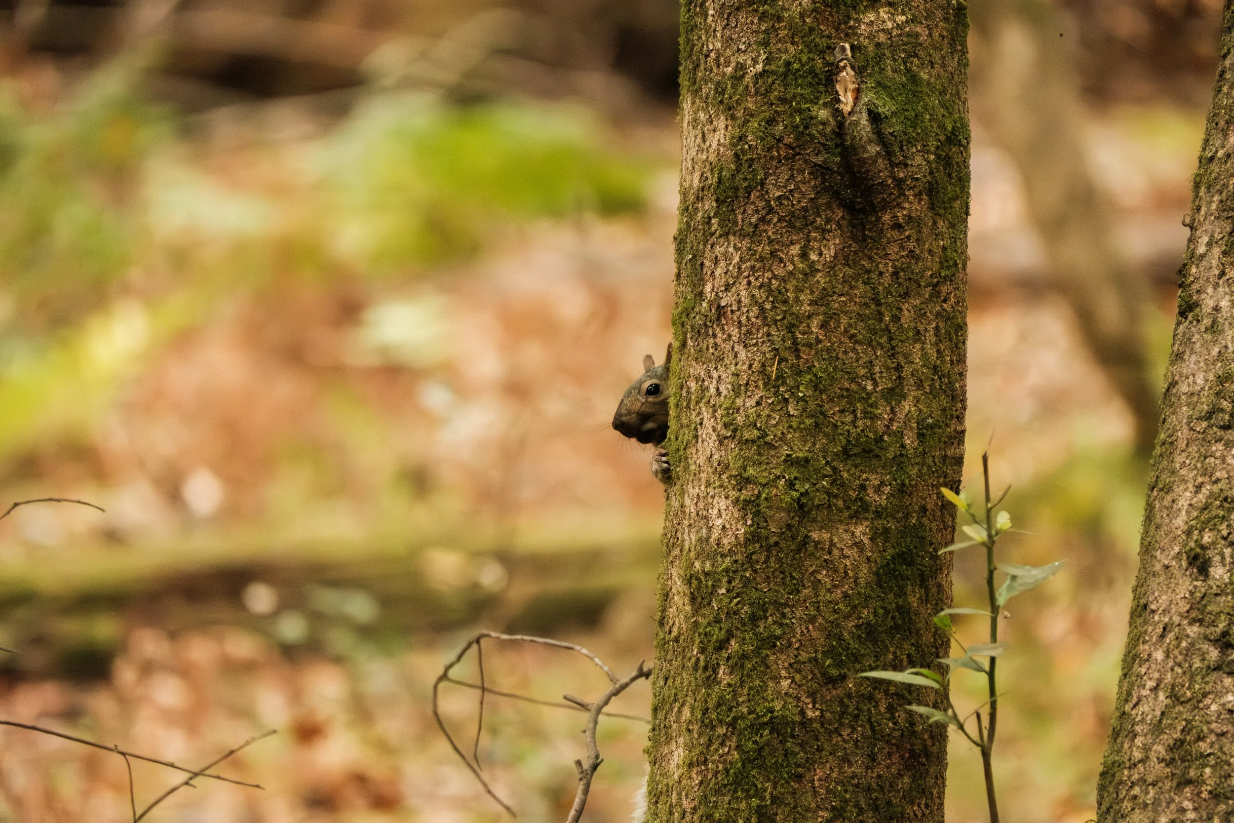 DSCF3917.jpg