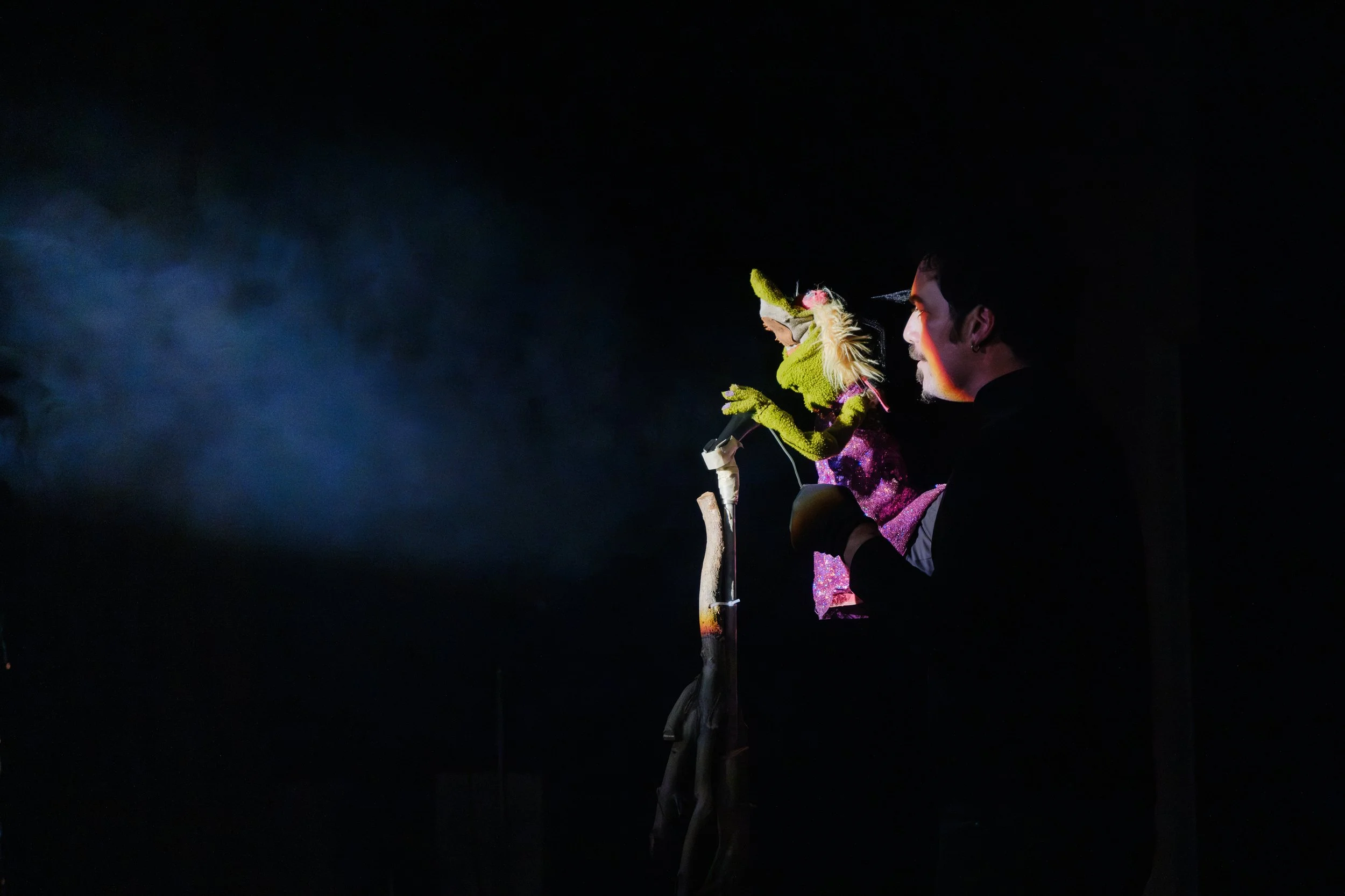EVENTS & PERFORMANCE
