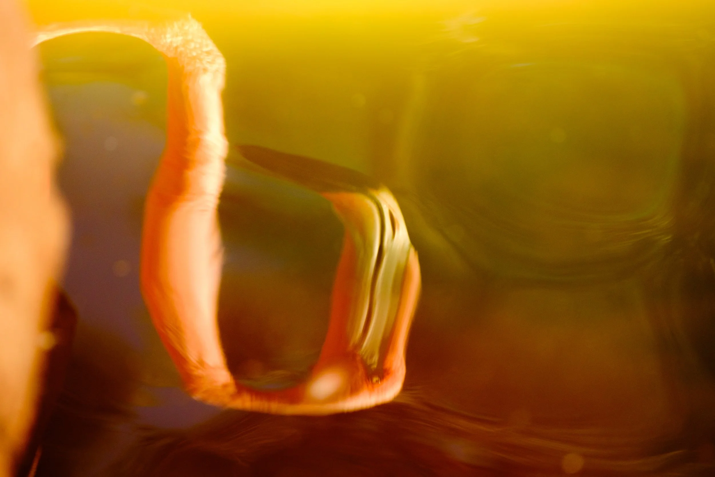 DSCF7066.jpg