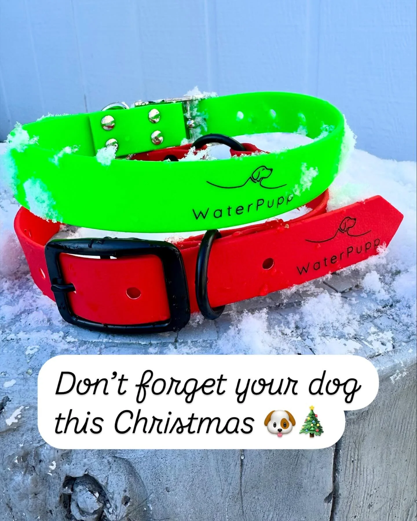It&rsquo;s beginning to look a lot like Christmas here at WaterPupp 🎄❄️ Choose from our festive waterproof collars and leash sets and show off your best-dressed dog to everyone on your Xmas card list this year 🐶