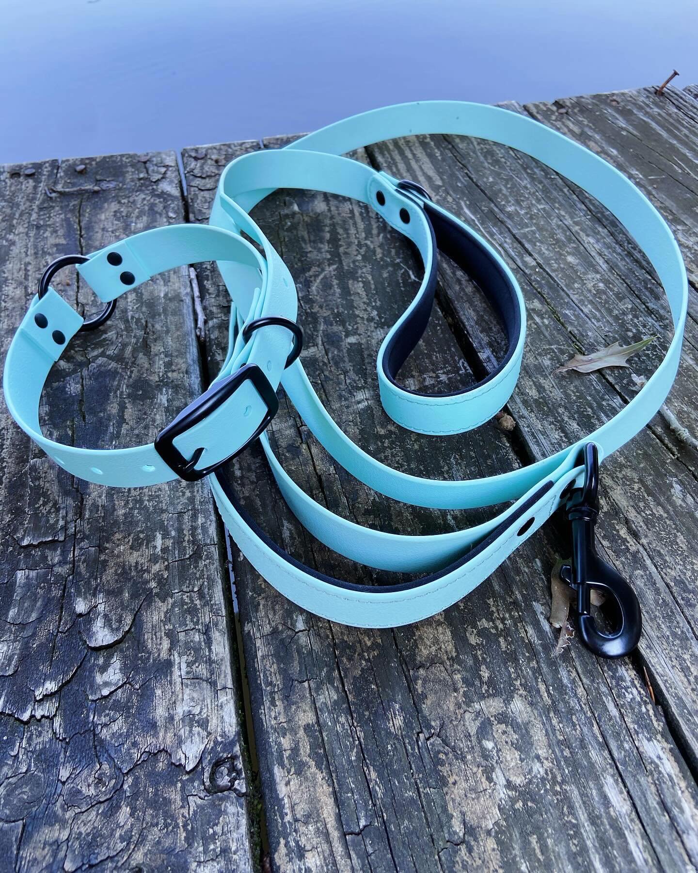 Introducing our collar and leash set from WaterPupp 🤩🔥

🌊waterproof
💪 Durable
💩stink-proof
🌺 stlyish
👏padded handles
🩵 short handle for quick control 
🐶adventure-ready for all occasions! 

Available in pink/purple combo or seafoam sets, or m