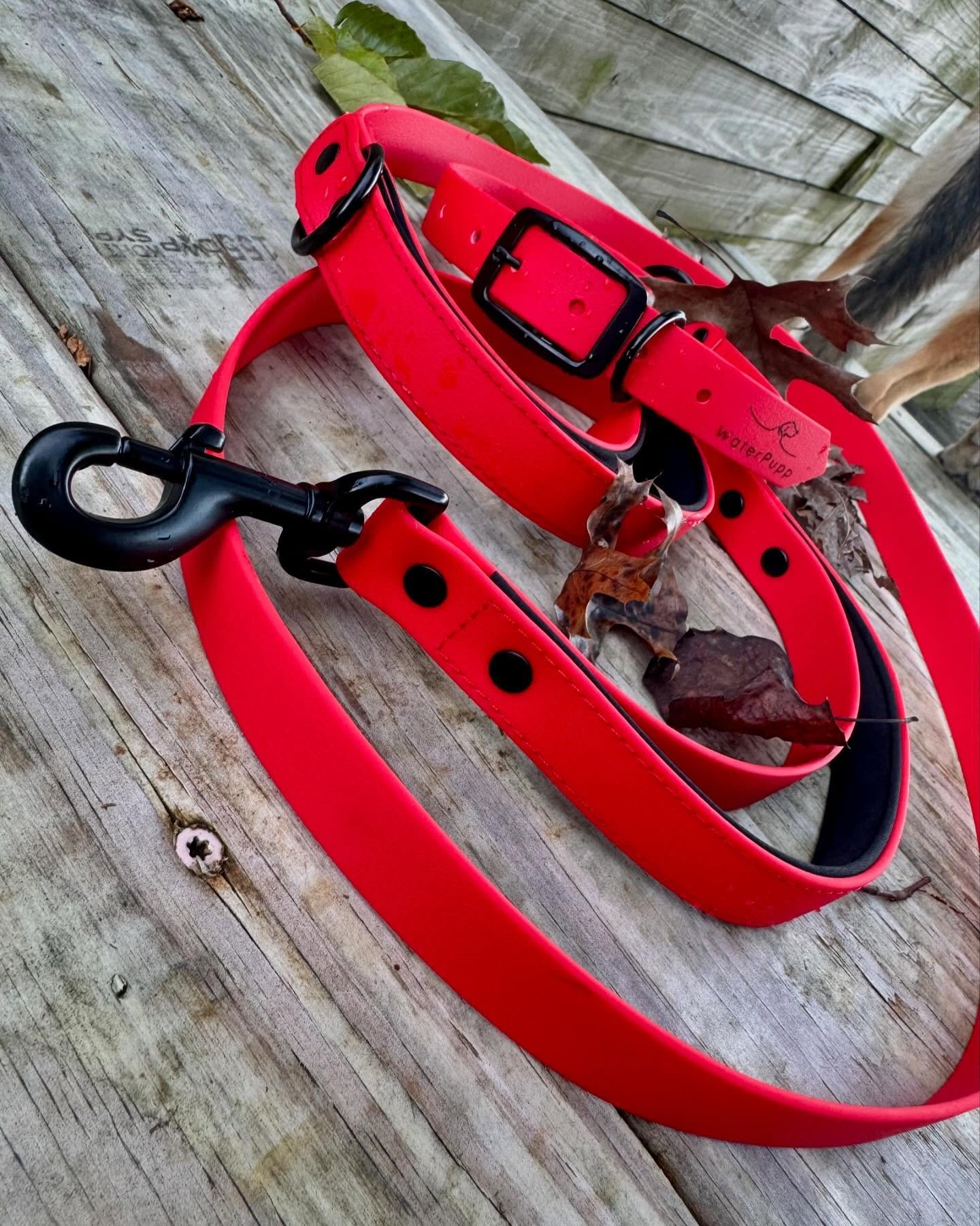 &ldquo;Style, comfort, and holiday cheer&mdash;paws down the best gift for your furry friend this season! 🎄🐾✨&rdquo;

Shop all our waterproof gear: www.waterpuppcollars.com