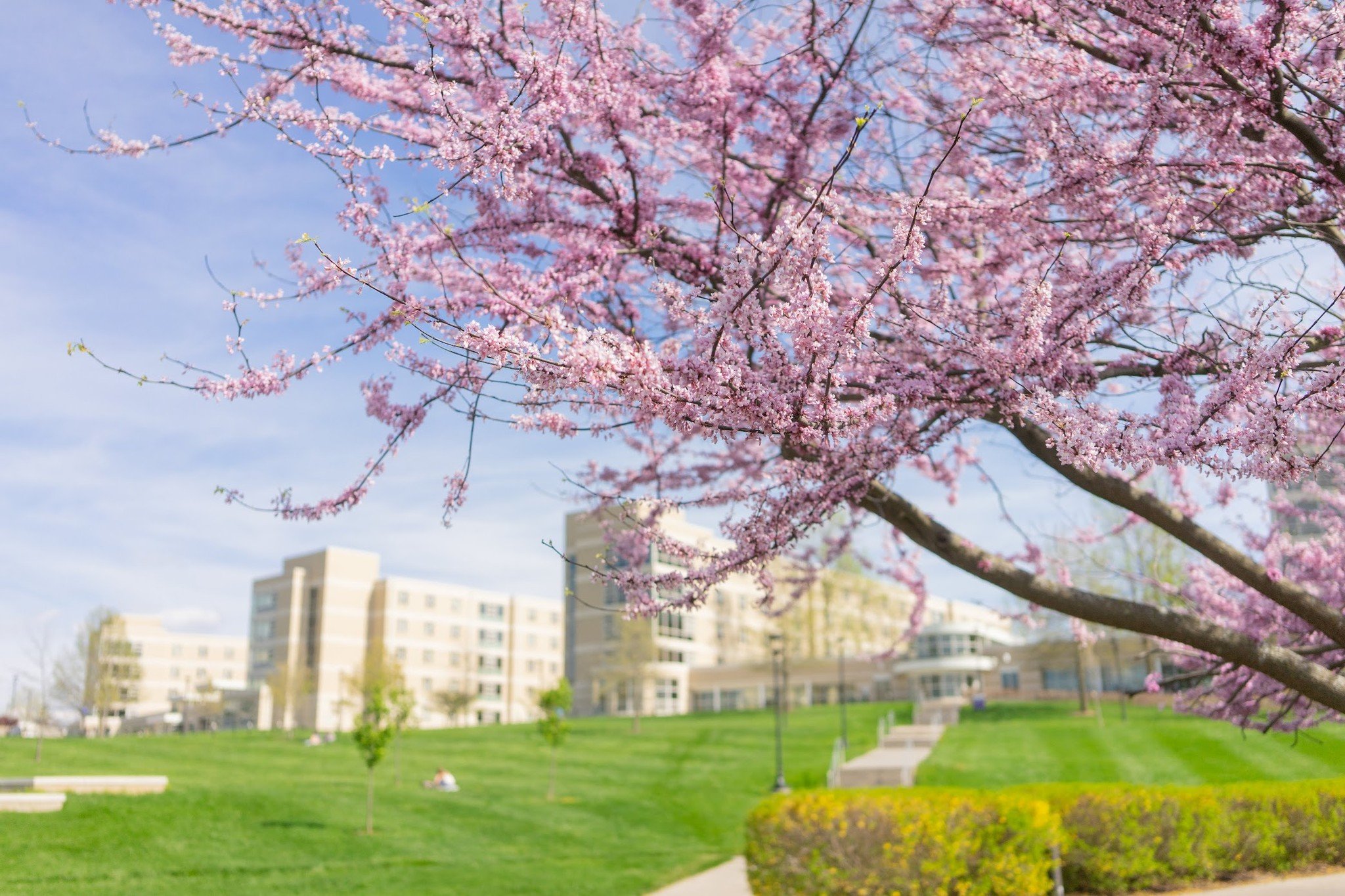 Looking for a beautiful springtime getaway? 

The Shenandoah Valley is the perfect place! The hiking, the Arboretum, the cute small towns like Bridgewater and Dayton...what's not to love?

#loveVA #springtravels #shenandoahvalley #shenandoahnationalp