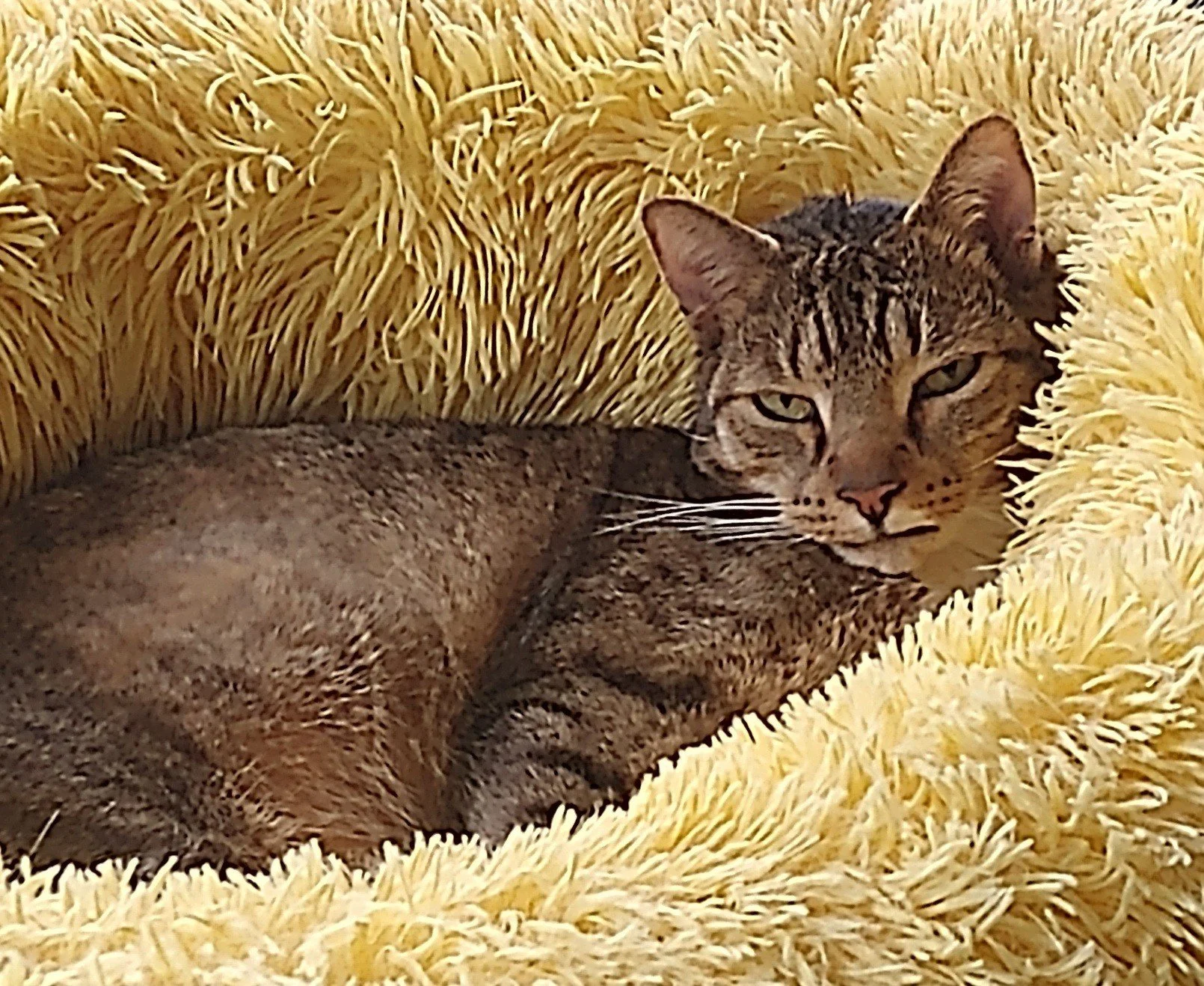 The Best Relationships are Earned