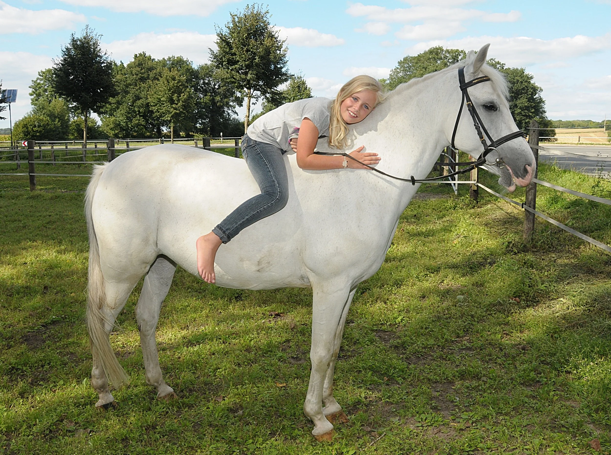 What Do Horses Think About Us?