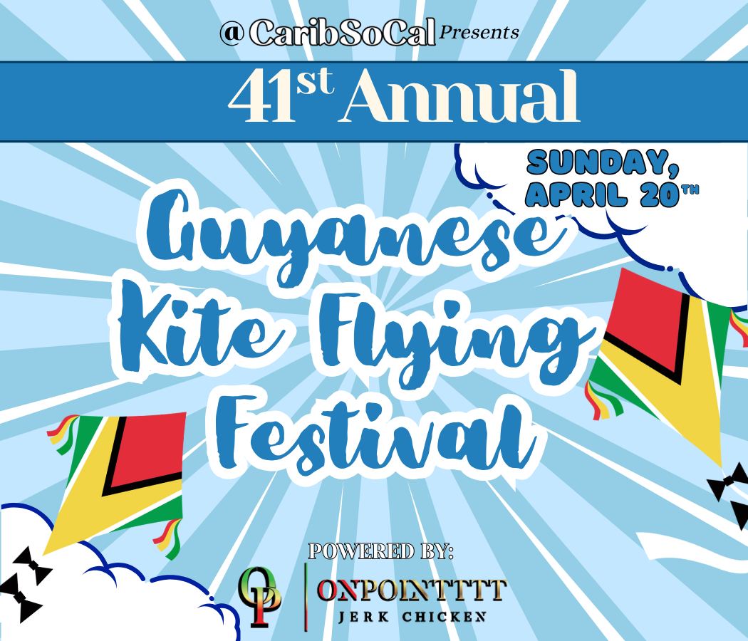 41st Annual Kite Flying