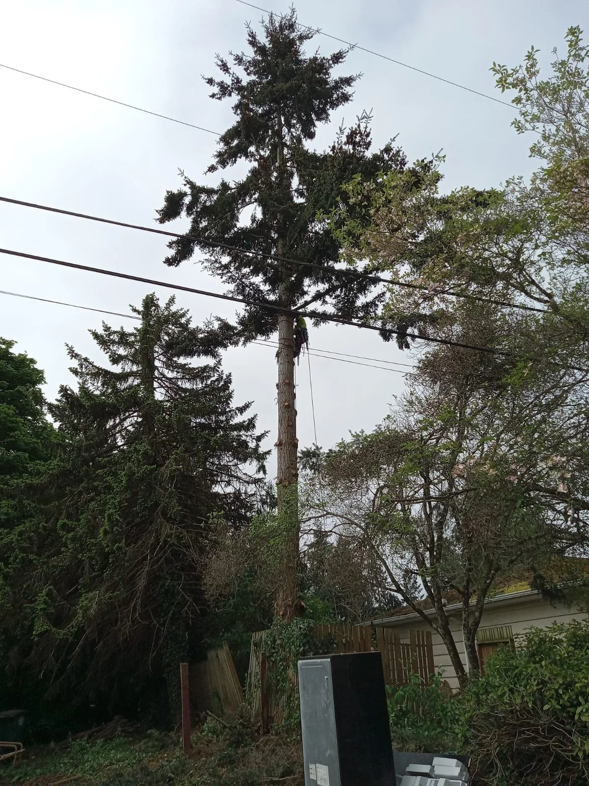 WhatsApp Image 2023-05-22 at 10.20.29 AM (1).jpeg