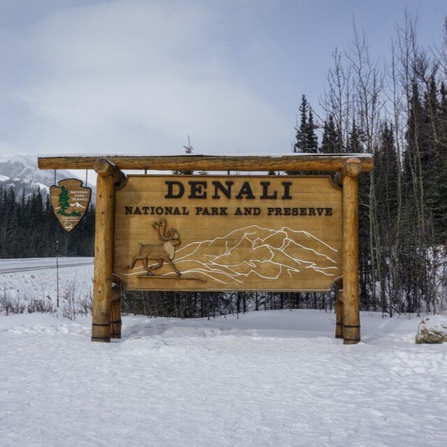 &quot;Greetings from the gateway to wilderness! Step into the wonderland of Denali National Park and Preserve with our captivating online tours. Adventure awaits! 🌲🏞️ #DenaliNationalPark #AlaskaTours #WildernessExploration&quot;