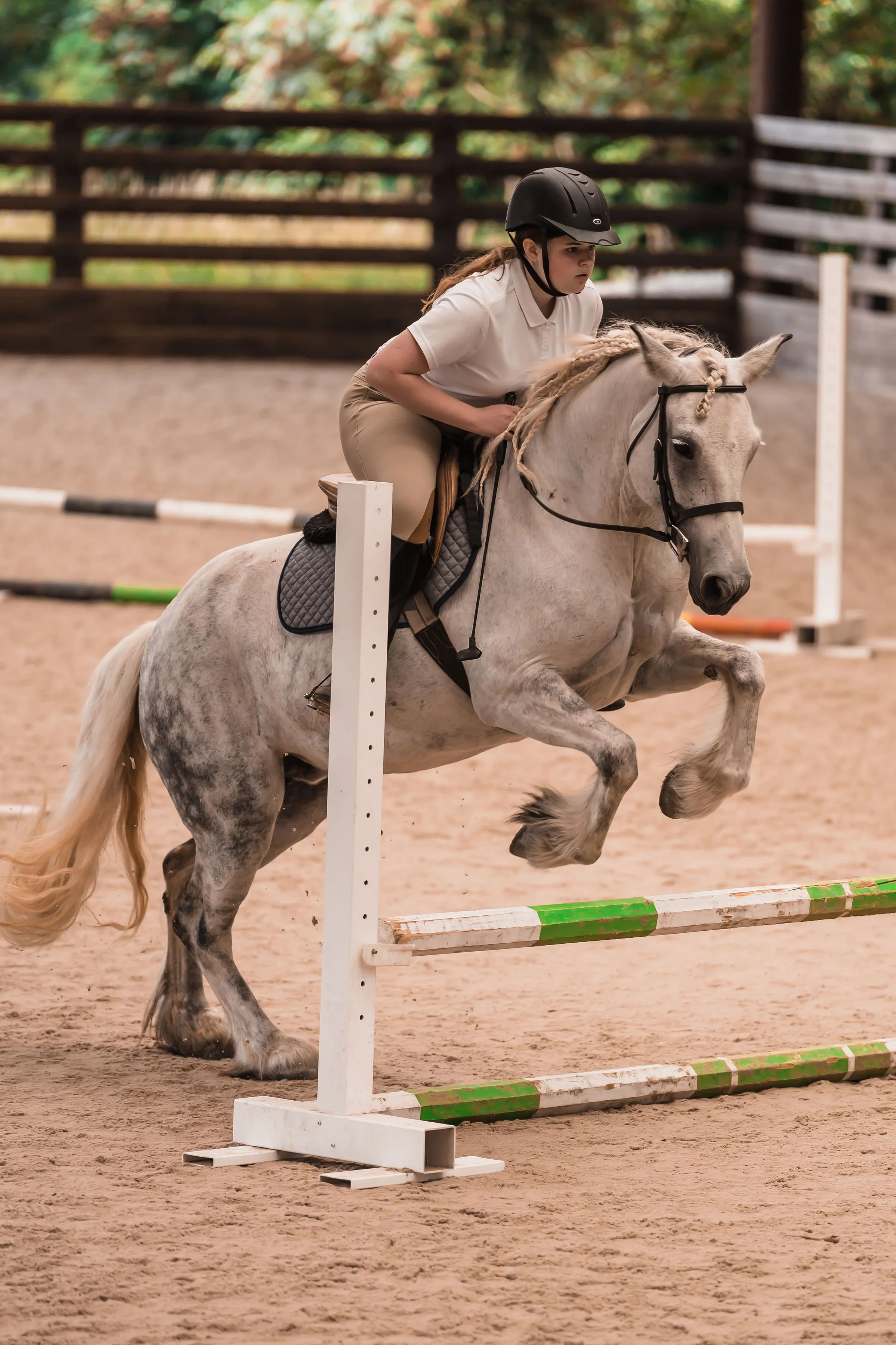 MIFunnyFarm2ndAnnualHorseShow-098.jpg