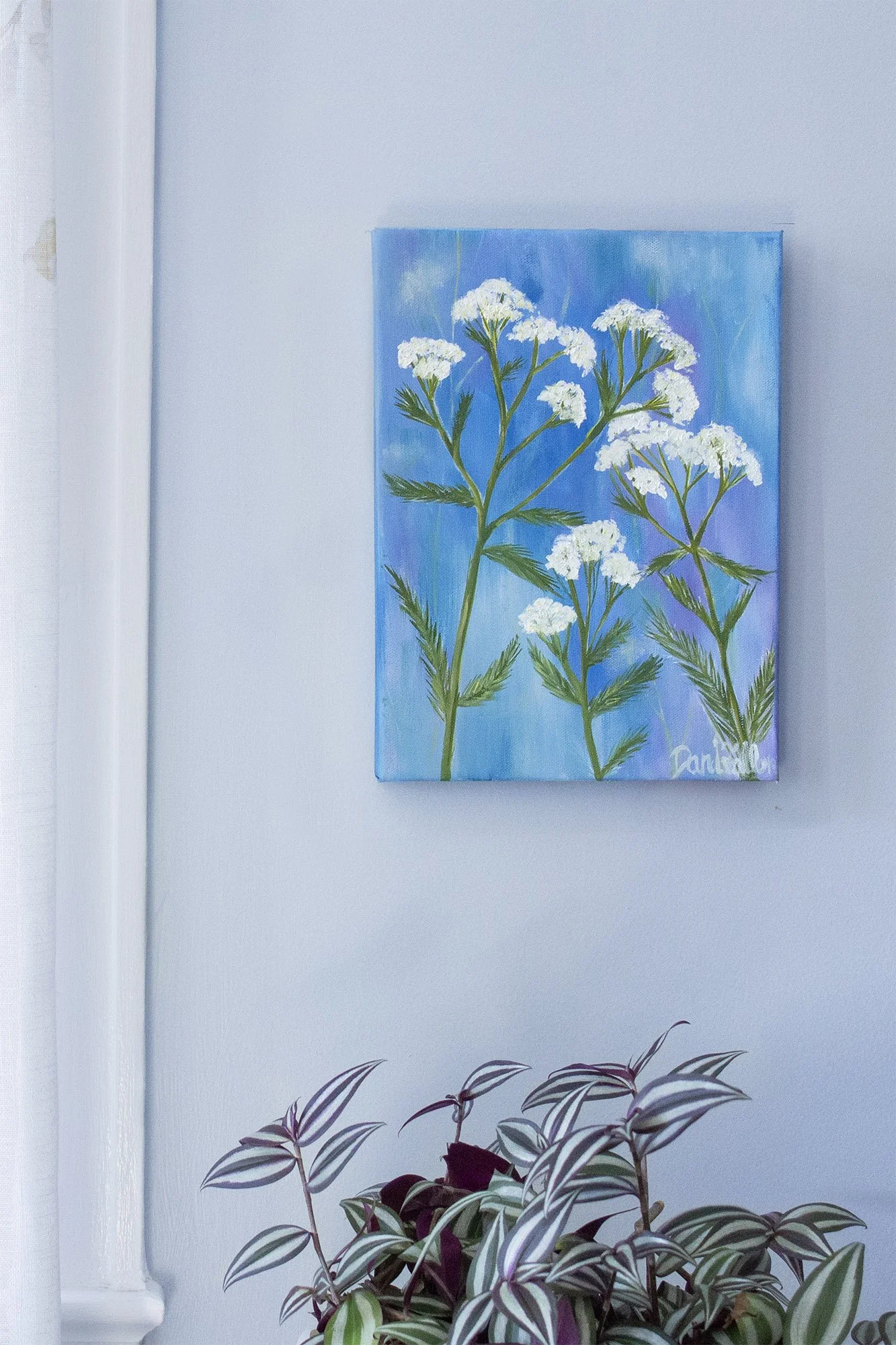 Yarrow has a long list of medicinal properties my favorite is its ability to treat burns and scrapes