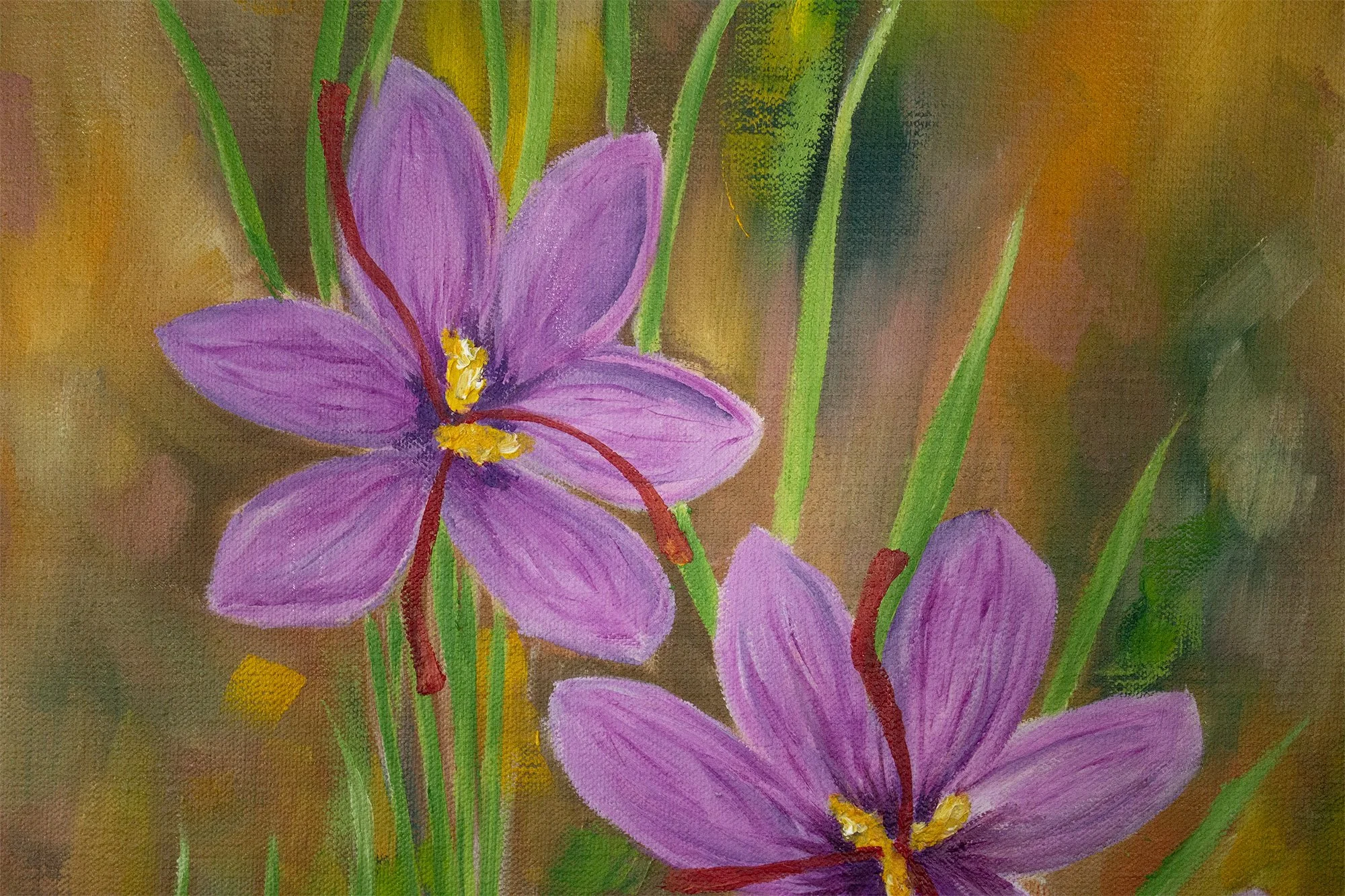 Saffron one of the most coveted spices in the world, is known best for as a dye, has also been used for its anti-oxidant properties throughout history