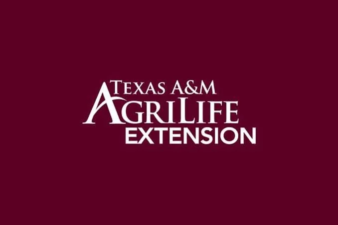 AgriLife 4H/ District Leadership Lab