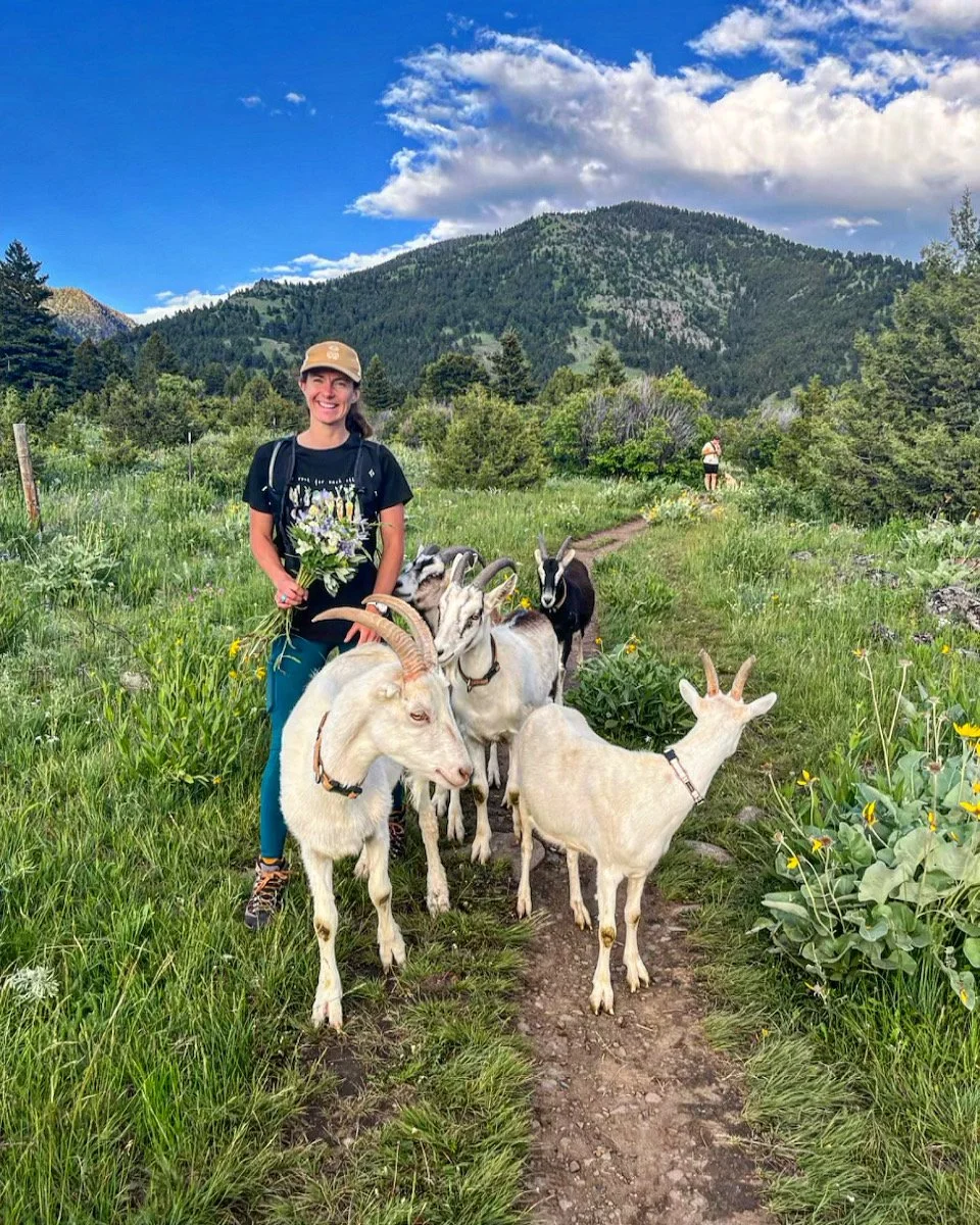 8C12D941-65CD-4863-BCE2-1B3092331B54 2.JPG