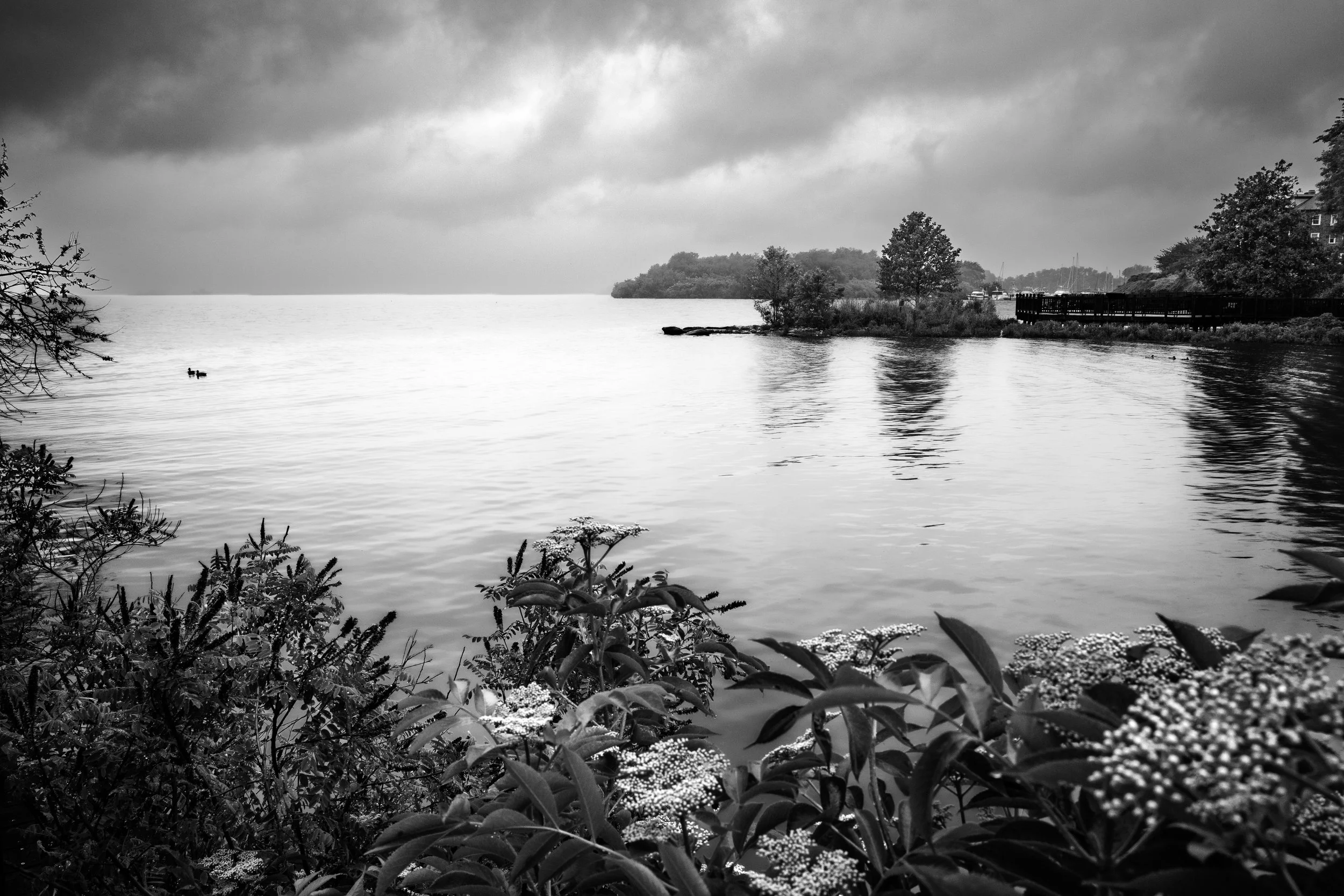 Dark Harbor | Havre de Grace, MD | 2026