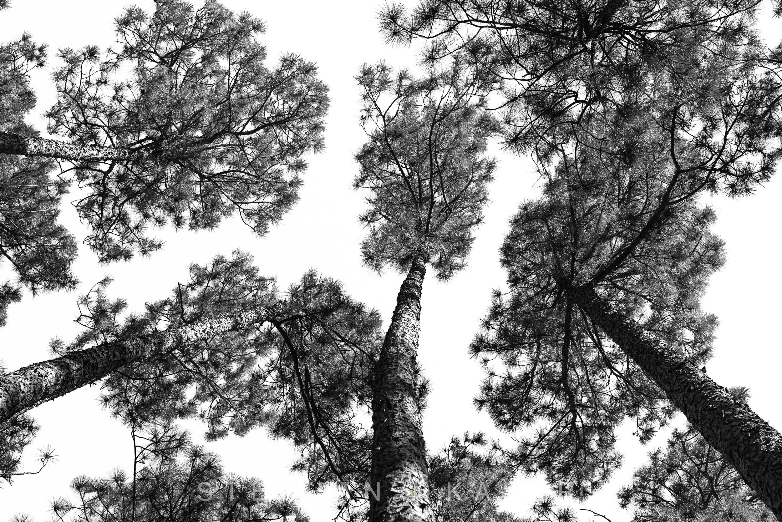 20260212_Audubon_816556_Media.jpg