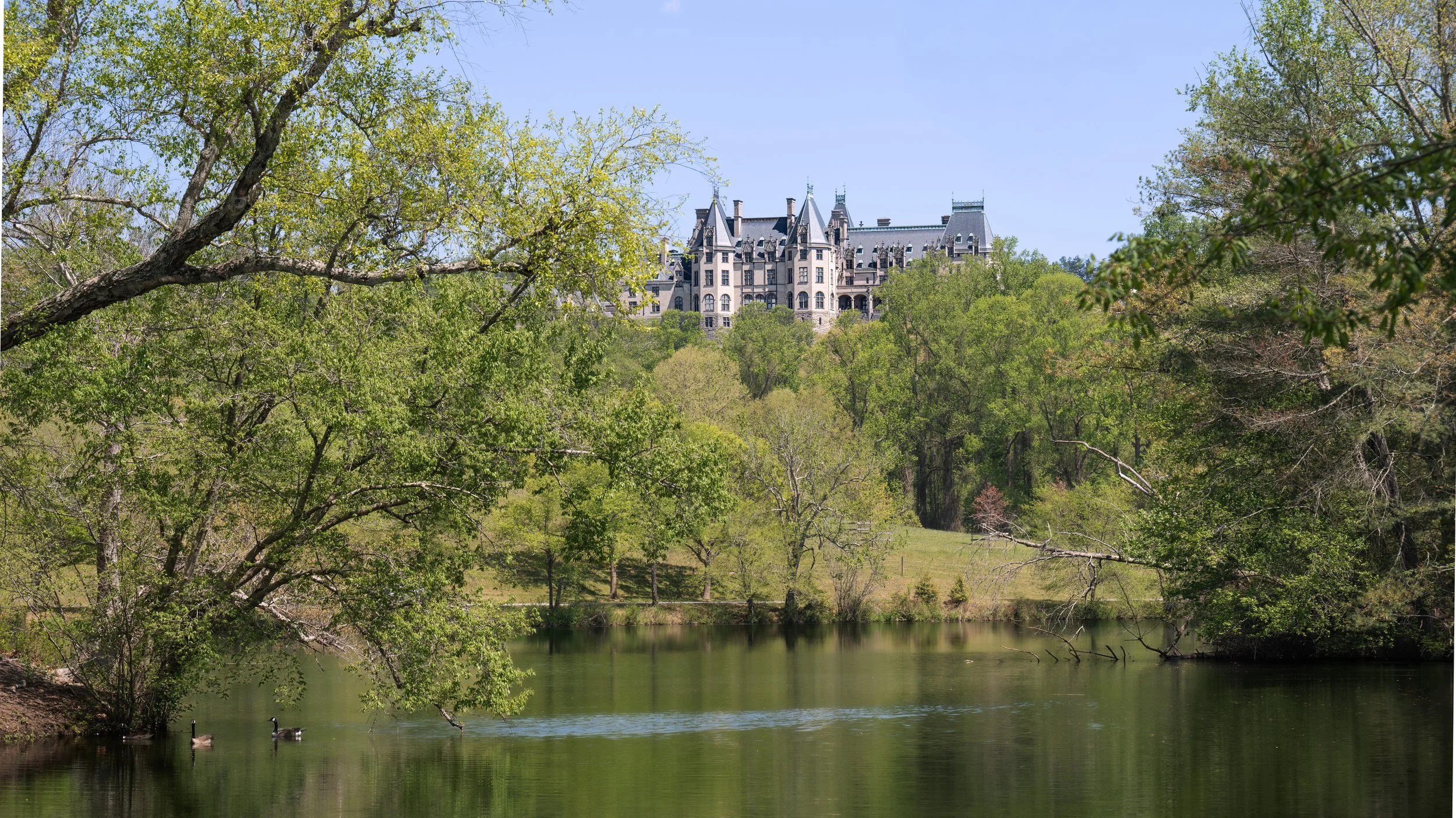 Biltmore Estate on the Hill | Asheville, NC | 2026